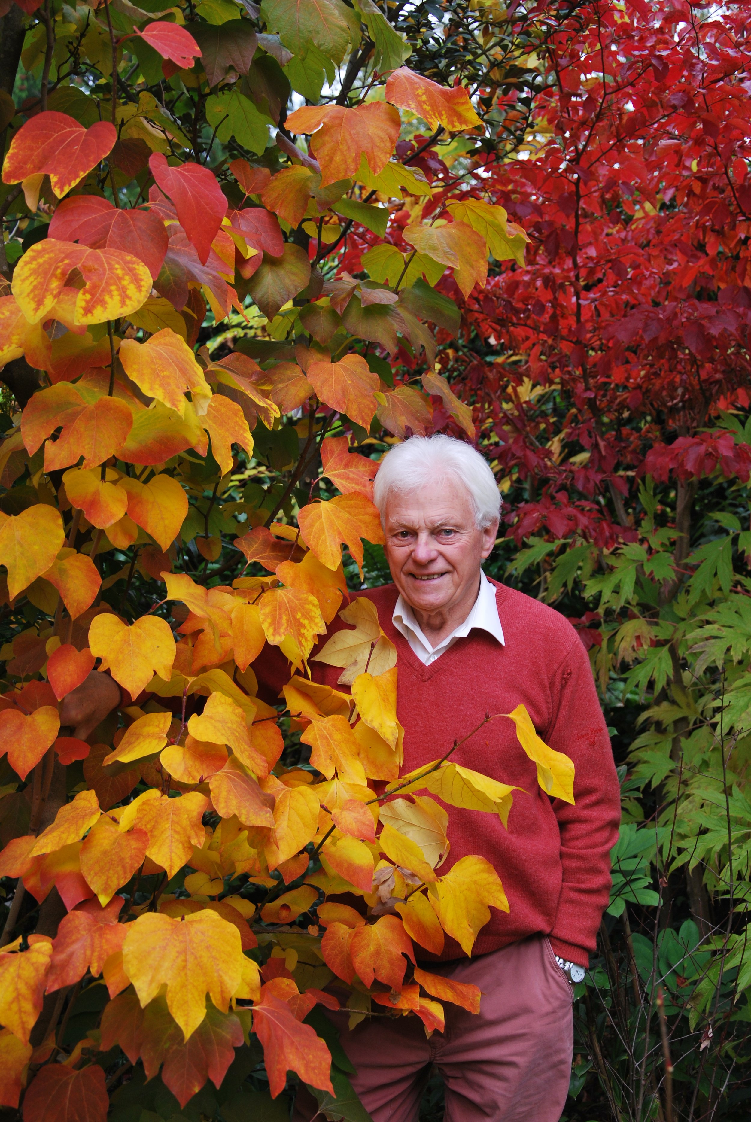 Roy Lancaster