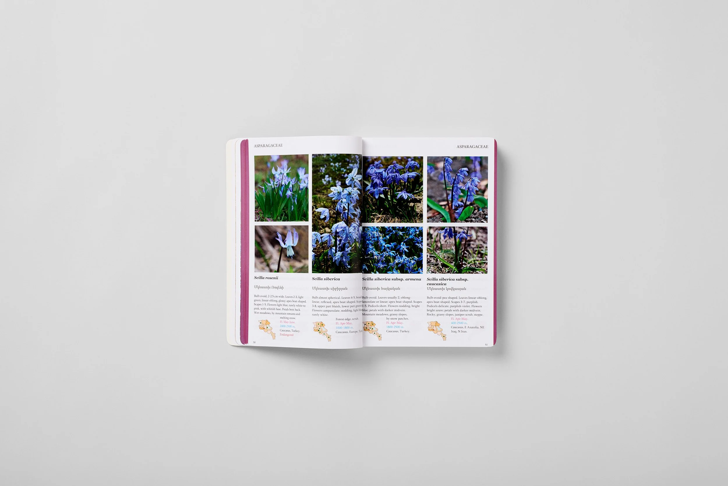 Interior spread from A Field Guide to the Plants of Armenia, photograph 2 of 6