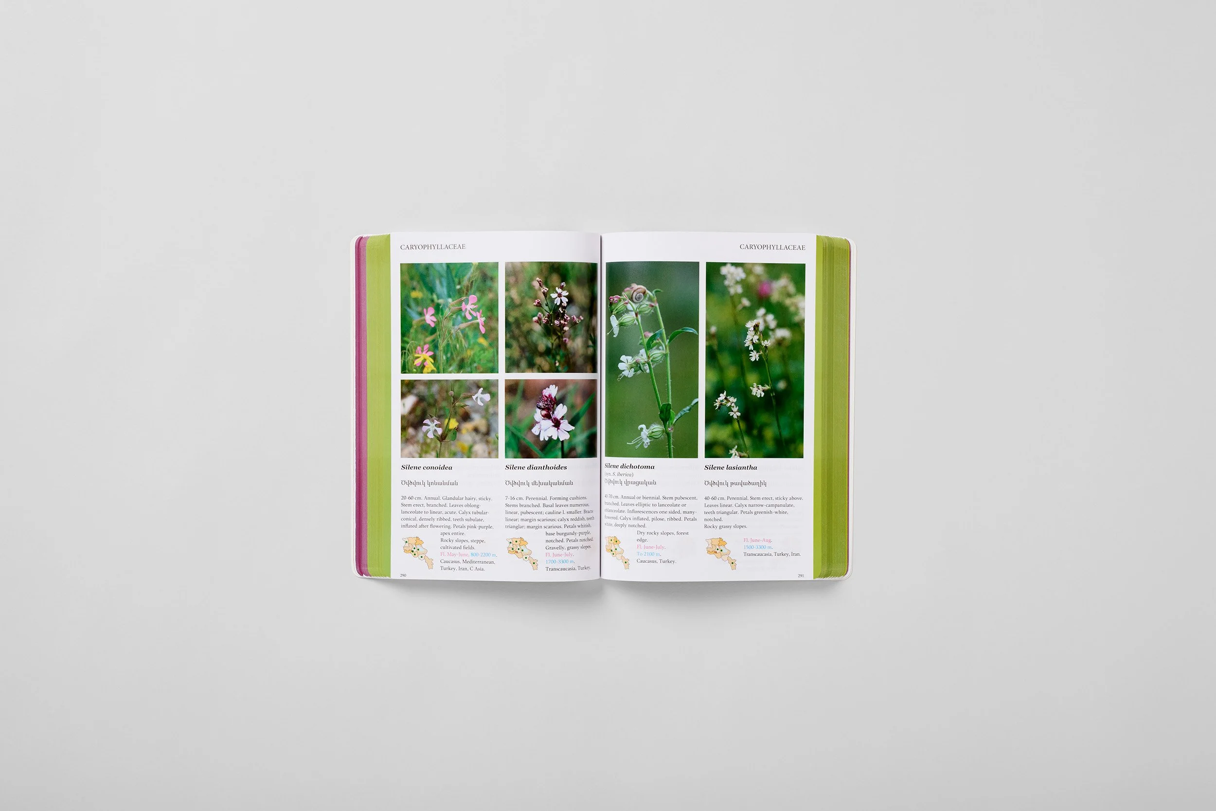 Interior spread from A Field Guide to the Plants of Armenia, photograph 3 of 6