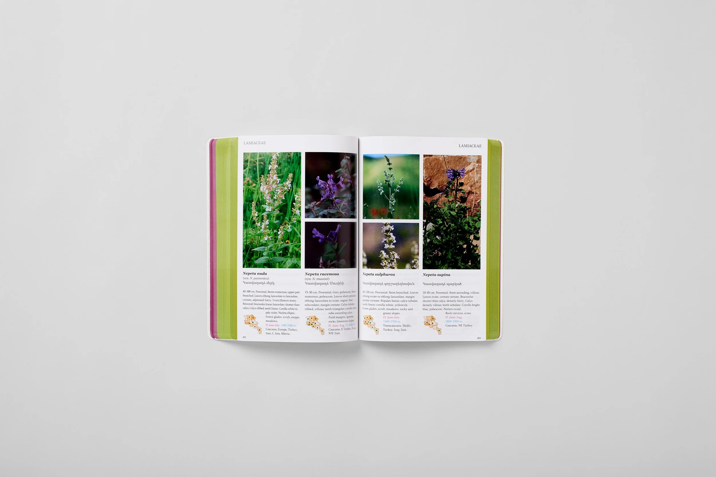 Interior spread from A Field Guide to the Plants of Armenia, photograph 6 of 6