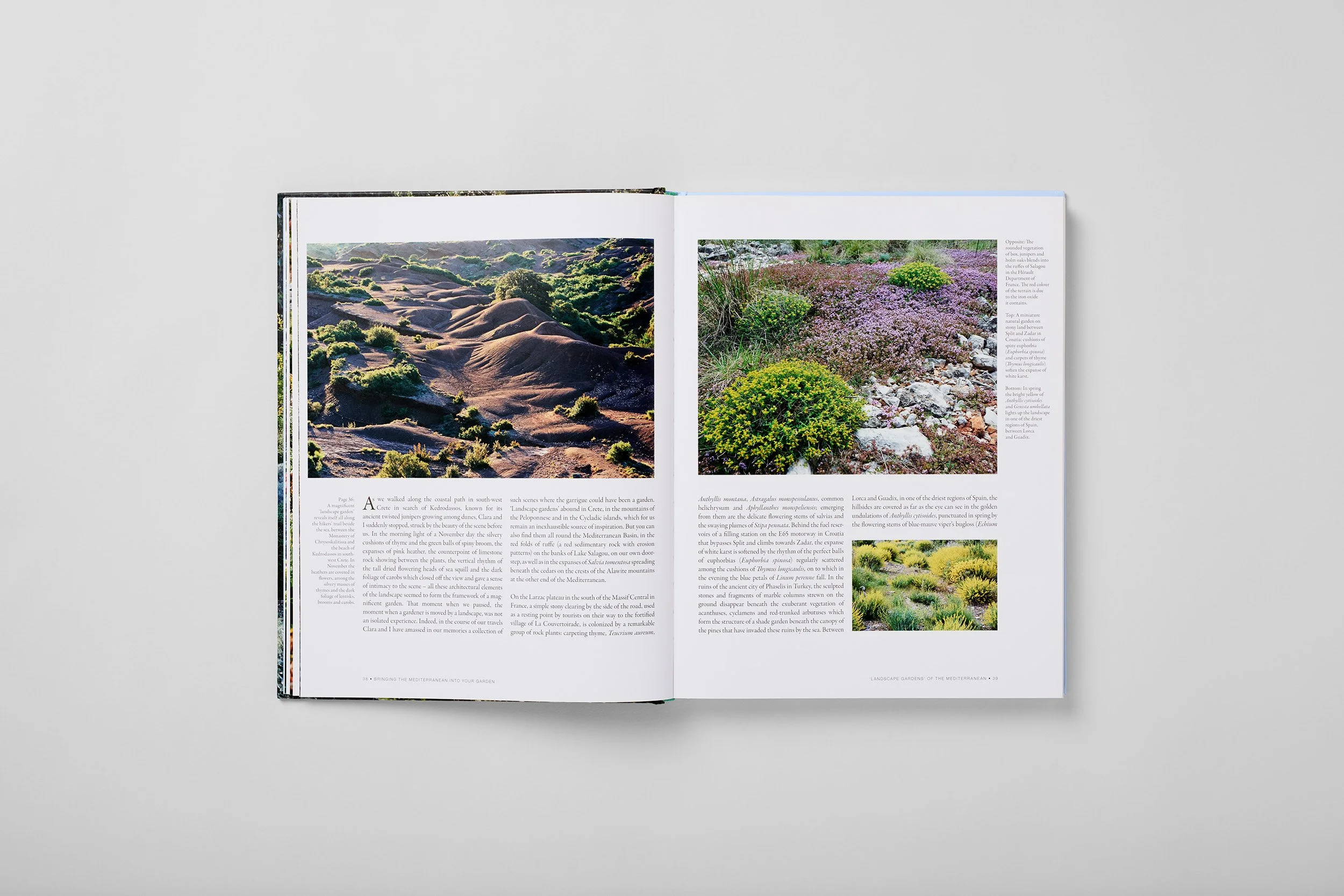 Interior spread from Bringing the Mediterranean into your Garden, photograph 2 of 6
