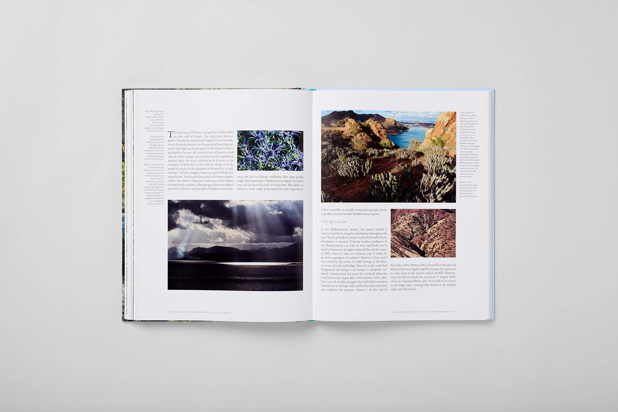 Interior spread from Bringing the Mediterranean into your Garden, photograph 6 of 6