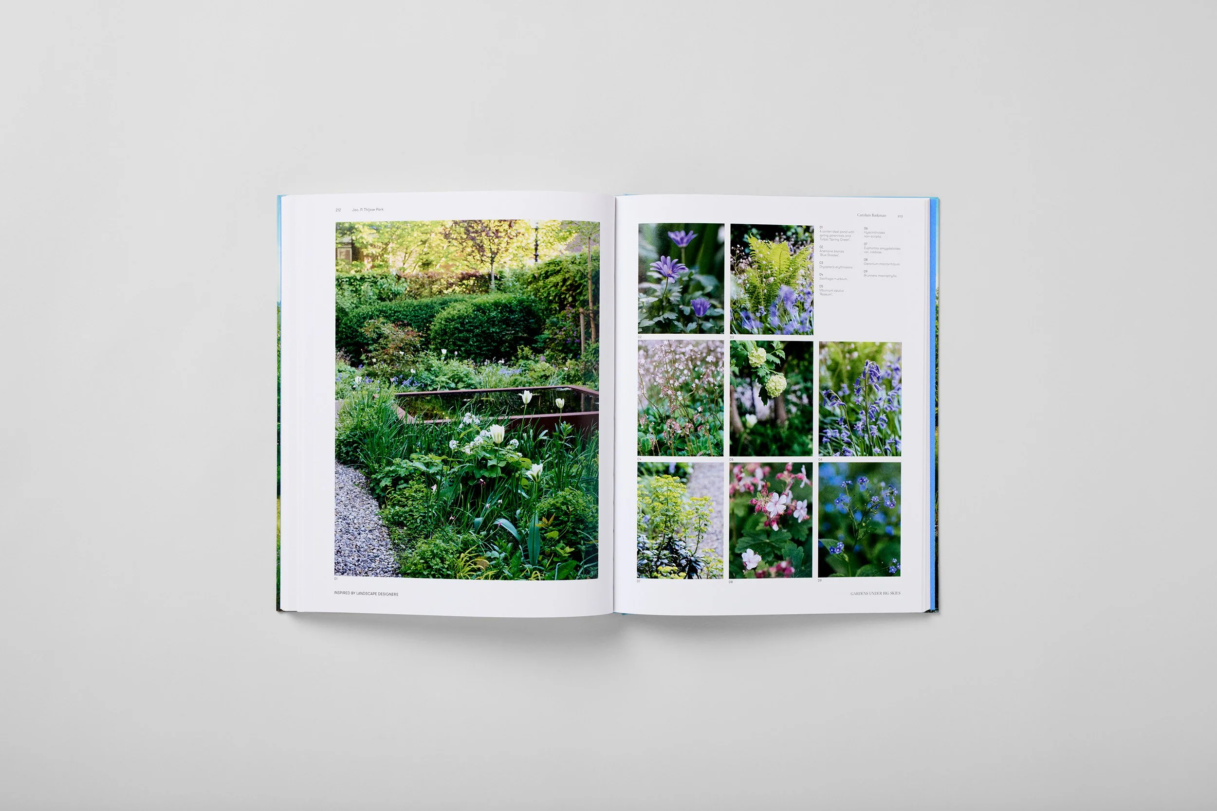 Interior spread from Gardens Under Big Skies, photograph 4 of 4