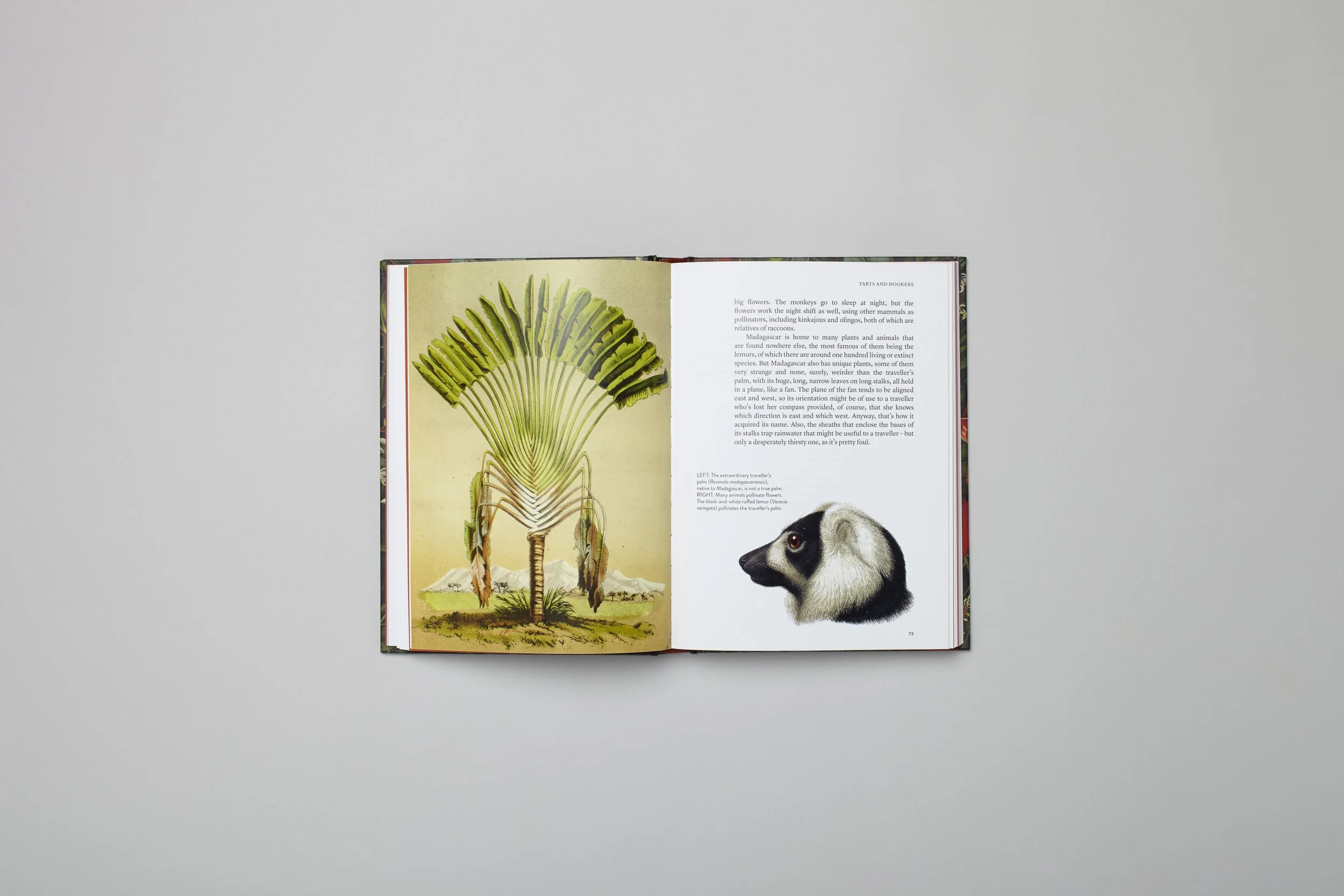 Interior spread from Plant Love, photograph 2 of 4