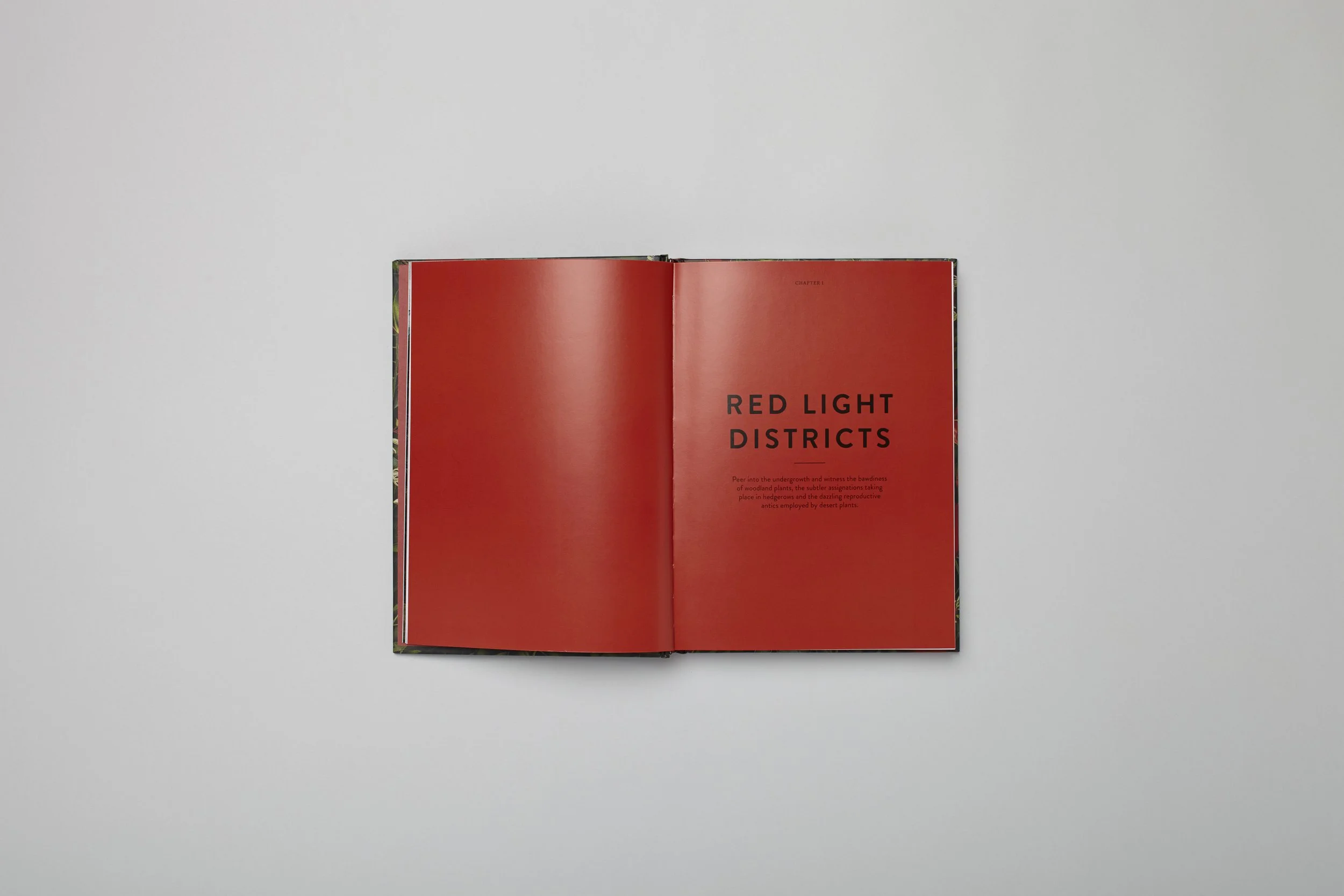 Interior spread from Plant Love, photograph 3 of 4