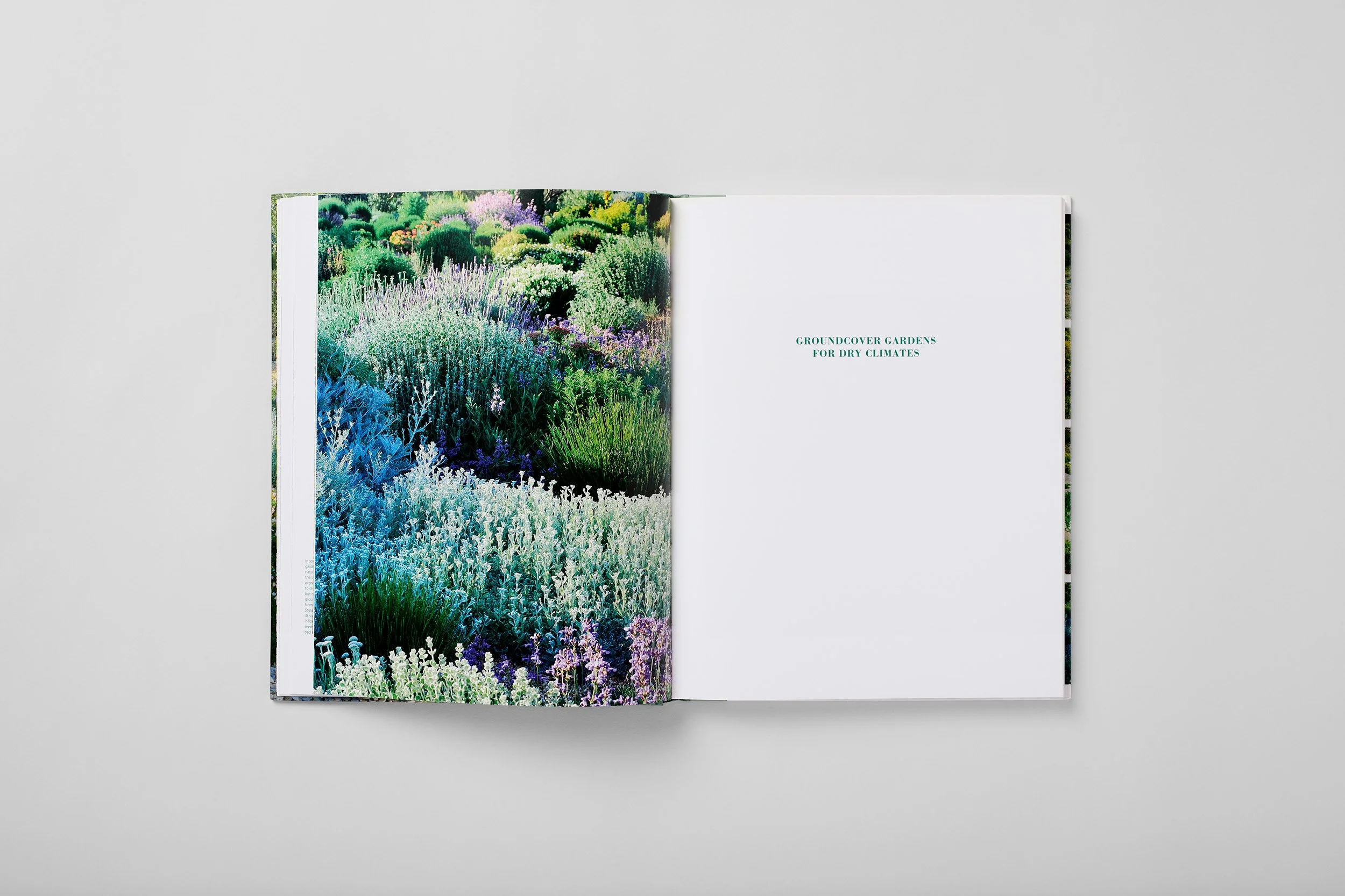 Interior spread from Planting Design for Dry Gardens, photograph 1 of 6