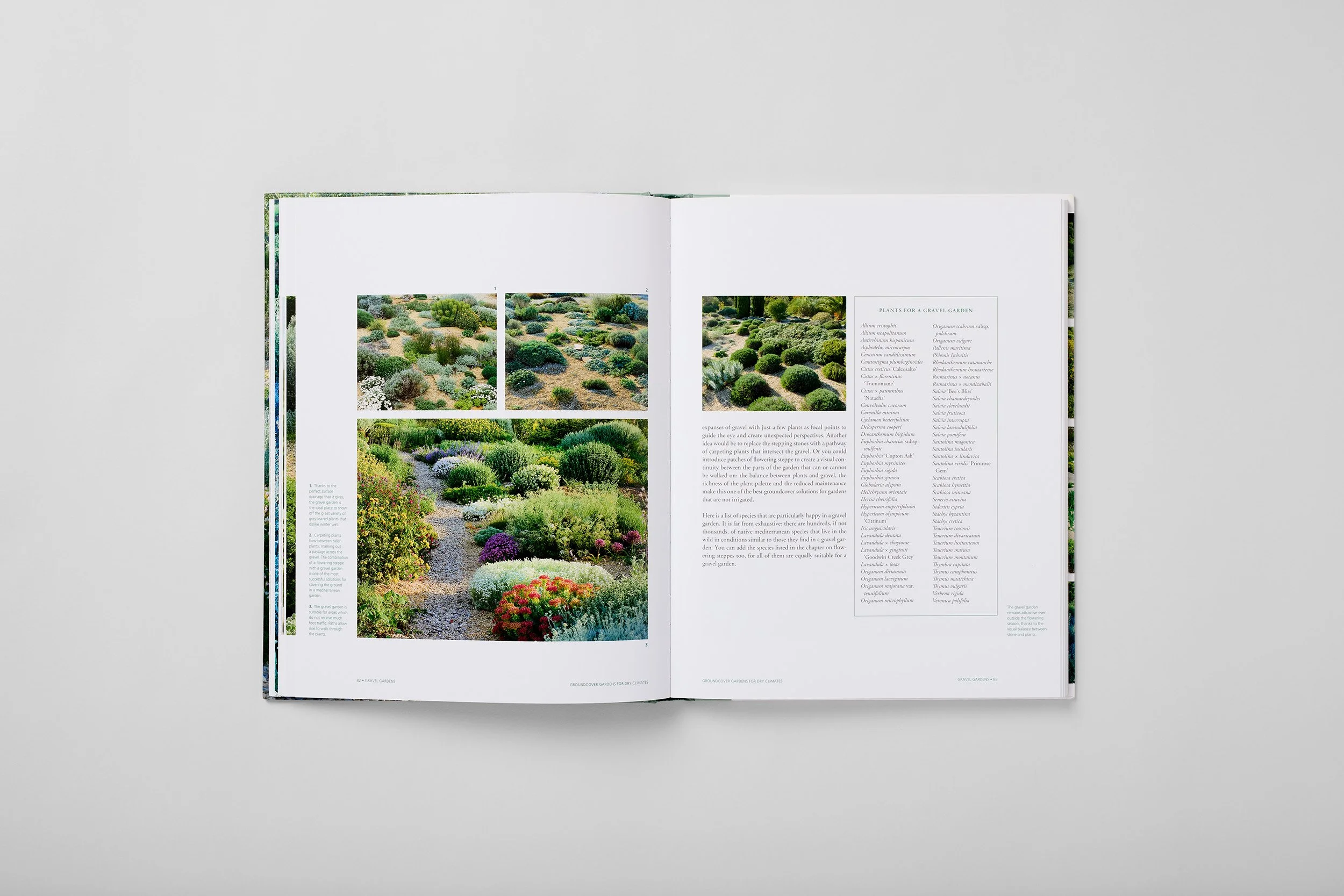 Interior spread from Planting Design for Dry Gardens, photograph 2 of 6