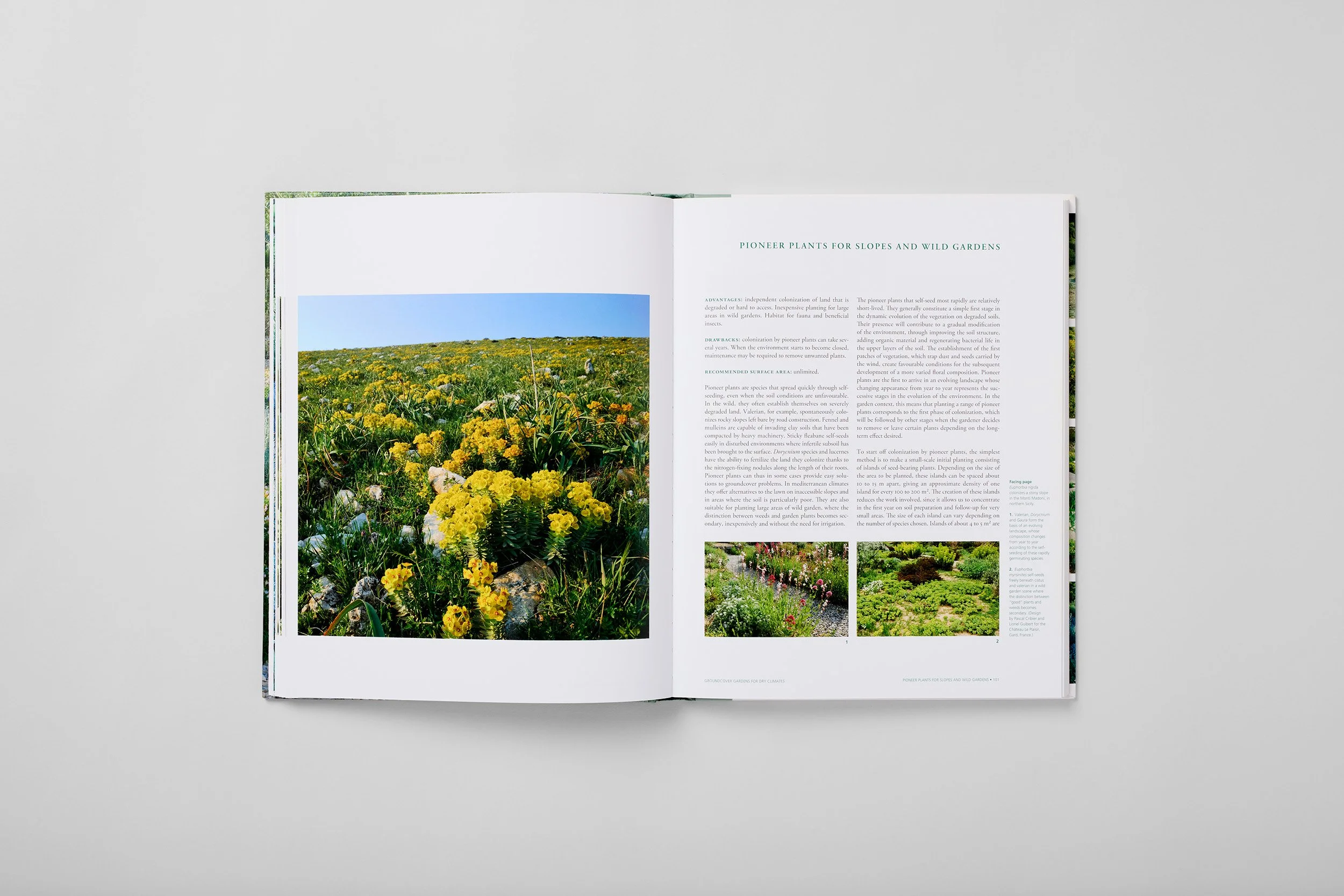 Interior spread from Planting Design for Dry Gardens, photograph 3 of 6