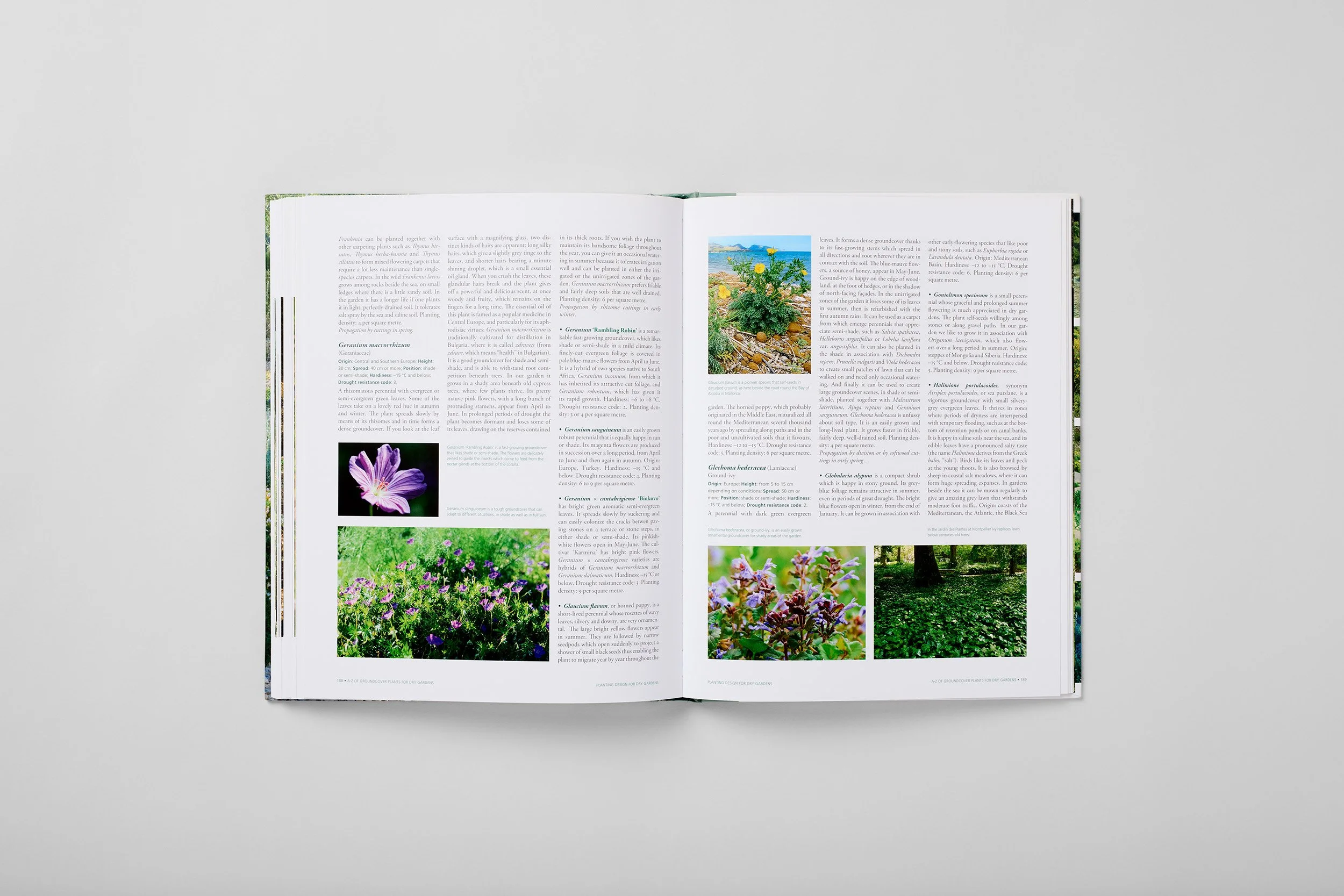 Interior spread from Planting Design for Dry Gardens, photograph 5 of 6