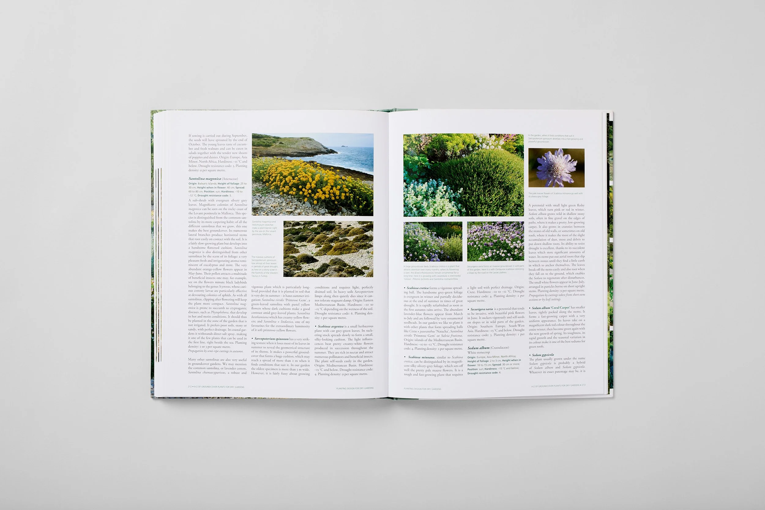 Interior spread from Planting Design for Dry Gardens, photograph 6 of 6