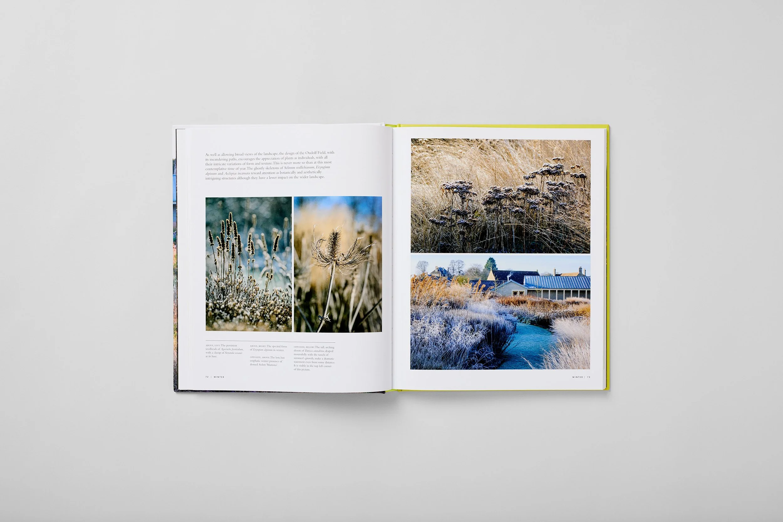Interior spread from Planting the Oudolf Gardens at Hauser & Wirth Somerset, photograph 1 of 6