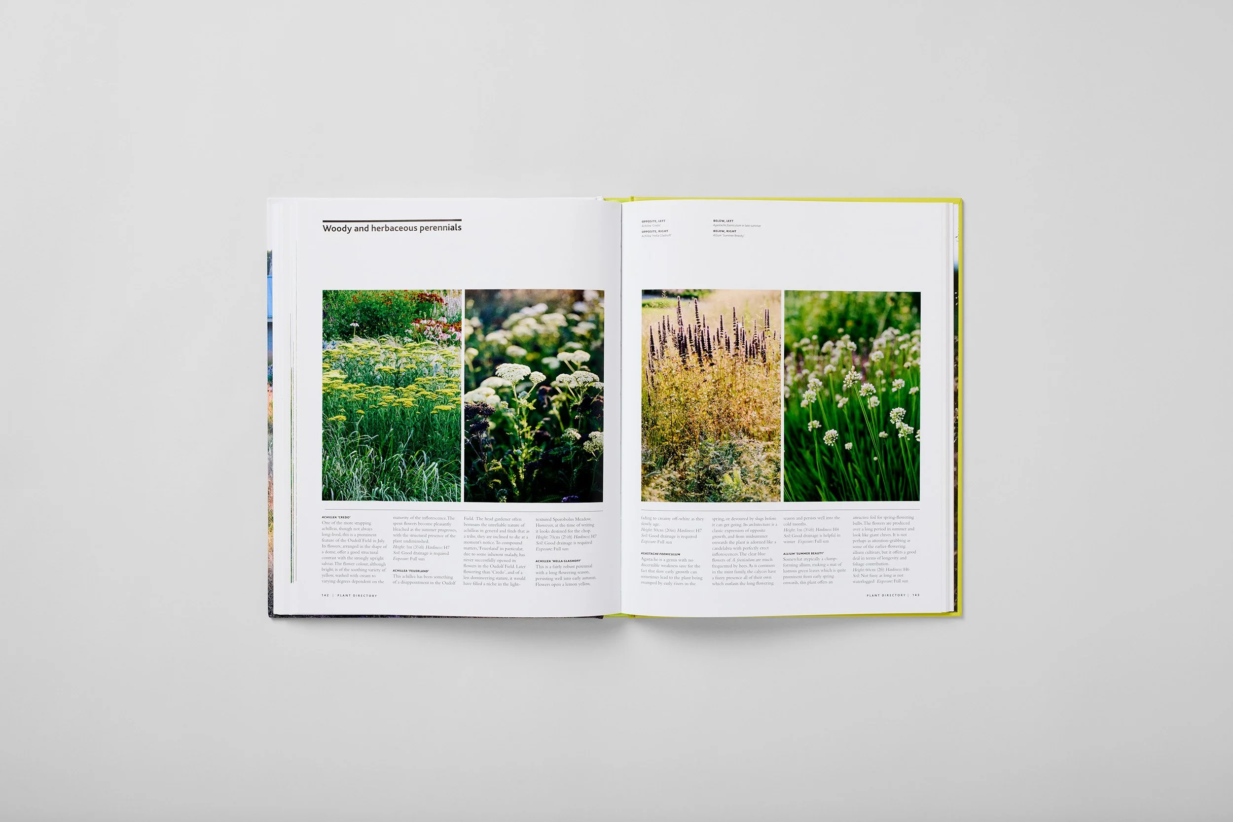 Interior spread from Planting the Oudolf Gardens at Hauser & Wirth Somerset, photograph 3 of 6
