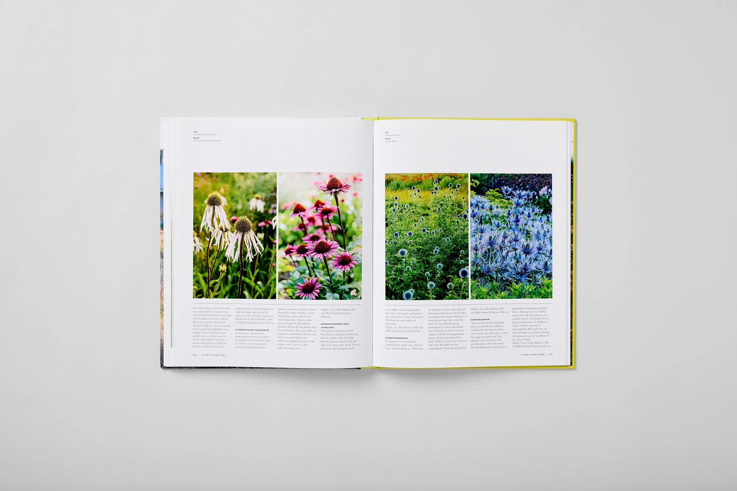 Interior spread from Planting the Oudolf Gardens at Hauser & Wirth Somerset, photograph 4 of 6