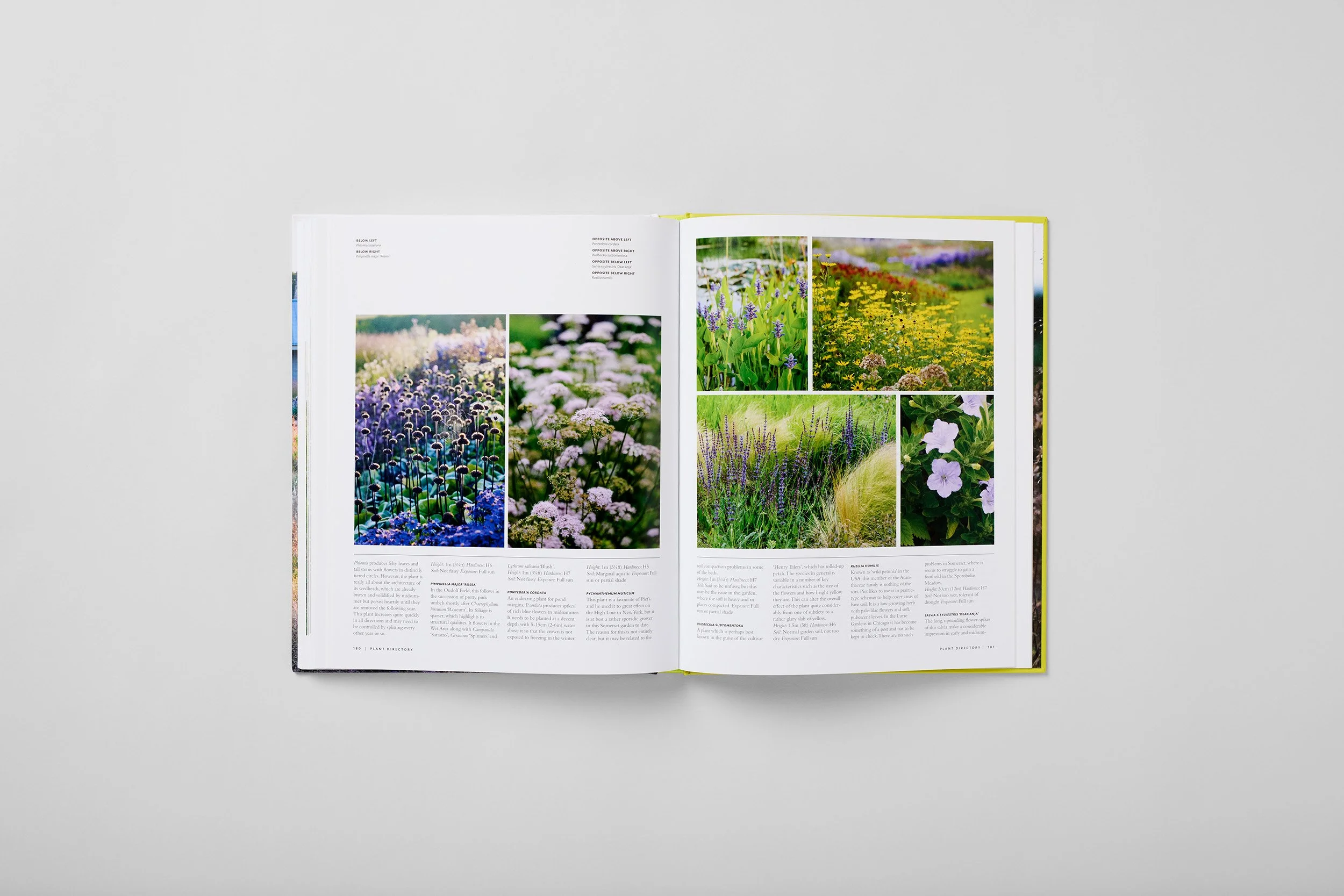 Interior spread from Planting the Oudolf Gardens at Hauser & Wirth Somerset, photograph 5 of 6