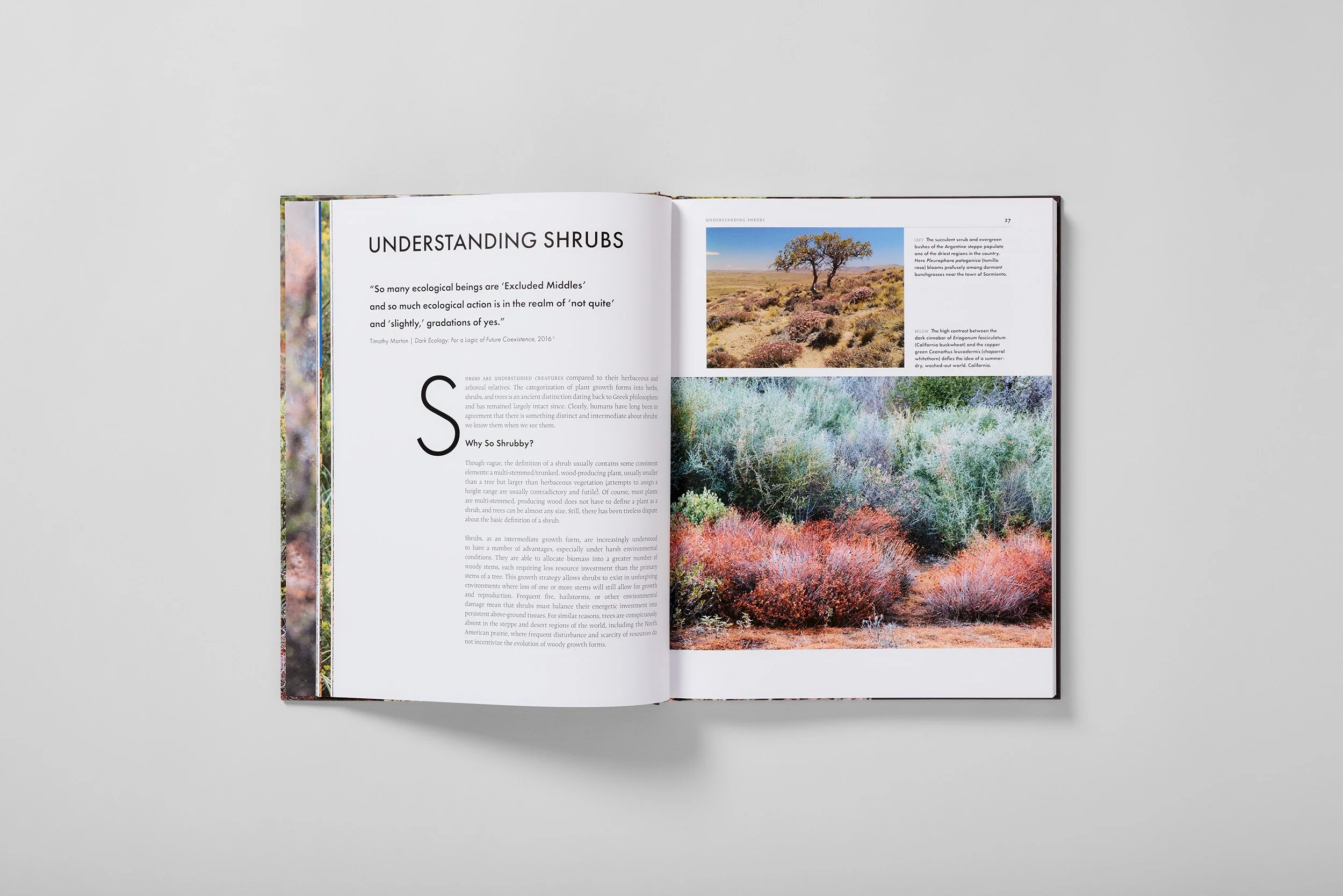 Interior spread from Shrouded in Light, photograph 1 of 4