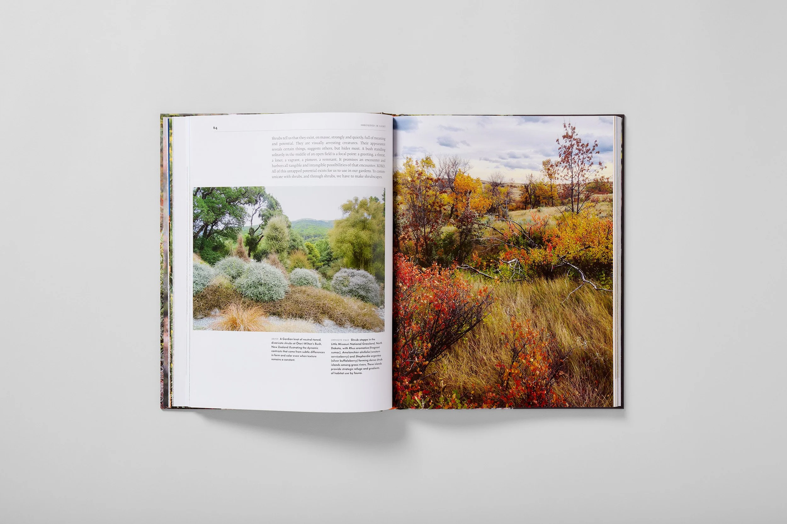 Interior spread from Shrouded in Light, photograph 3 of 4