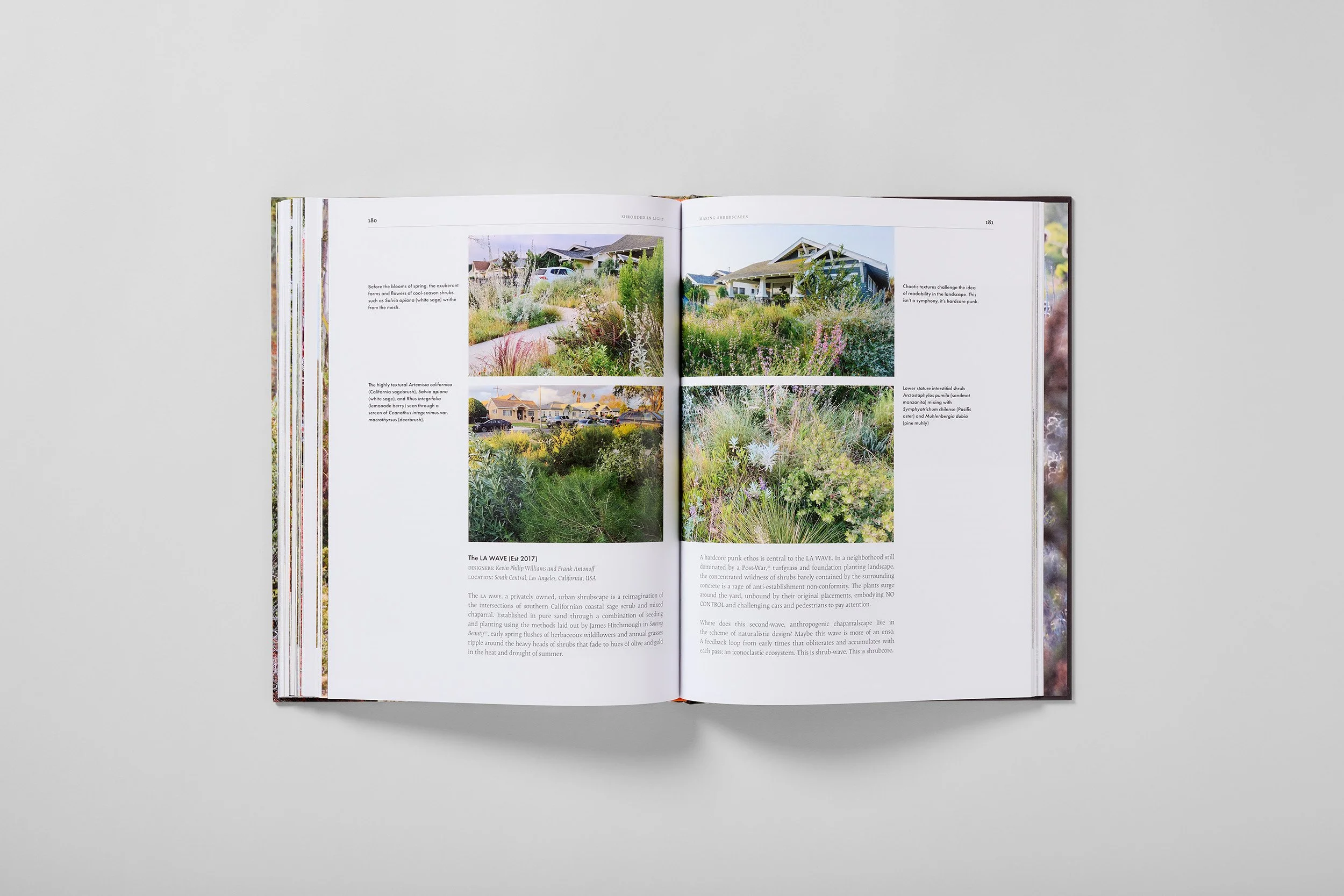 Interior spread from Shrouded in Light, photograph 4 of 4