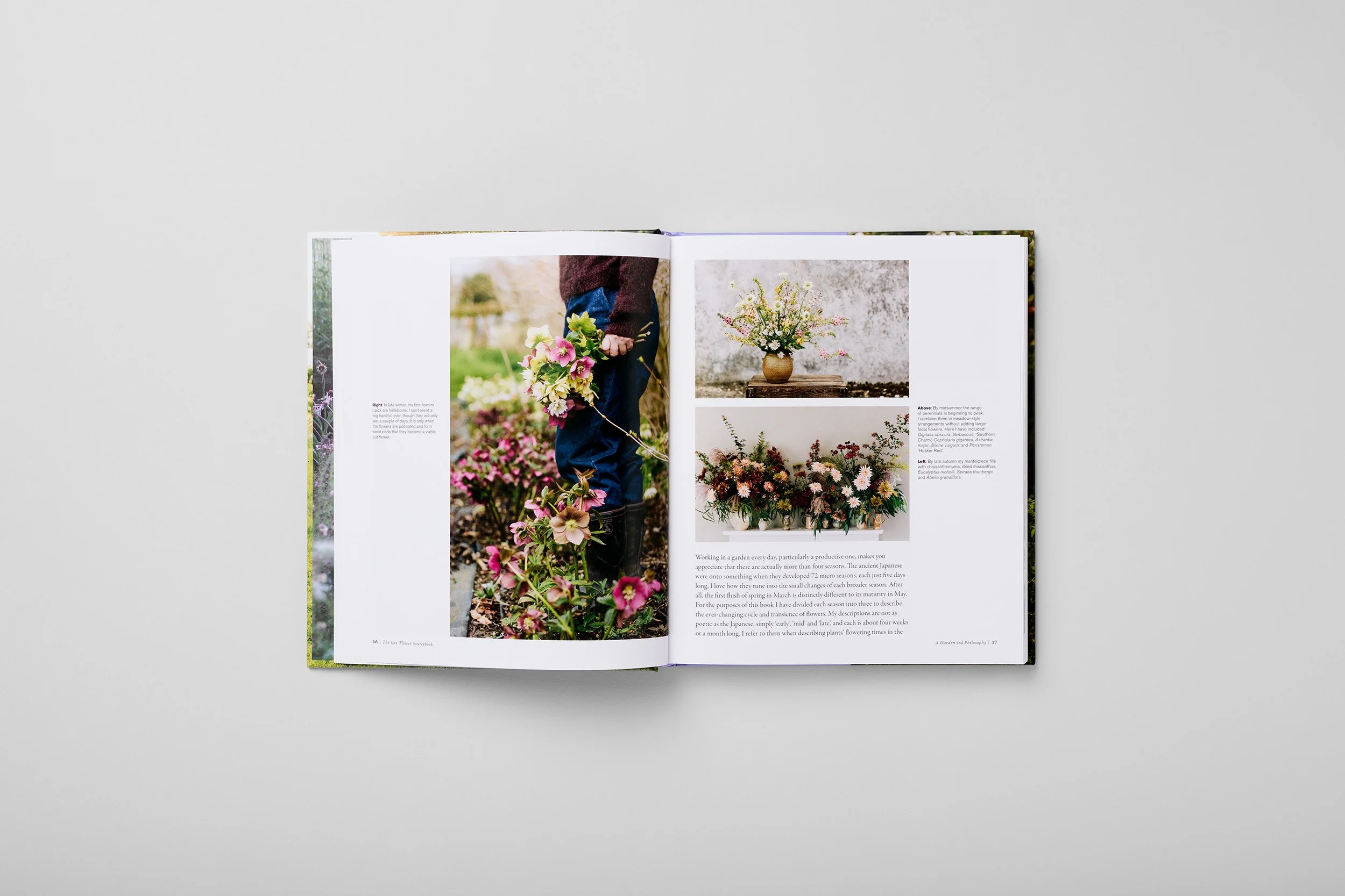 Interior spread from The Cut Flower Sourcebook, photograph 2 of 4