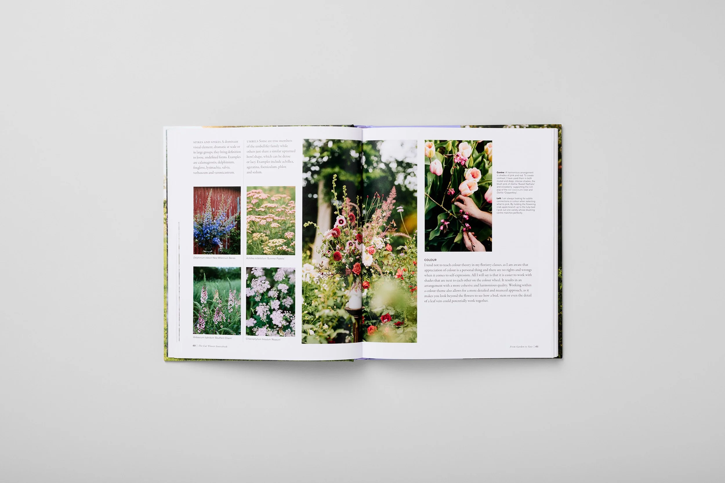 Interior spread from The Cut Flower Sourcebook, photograph 3 of 4