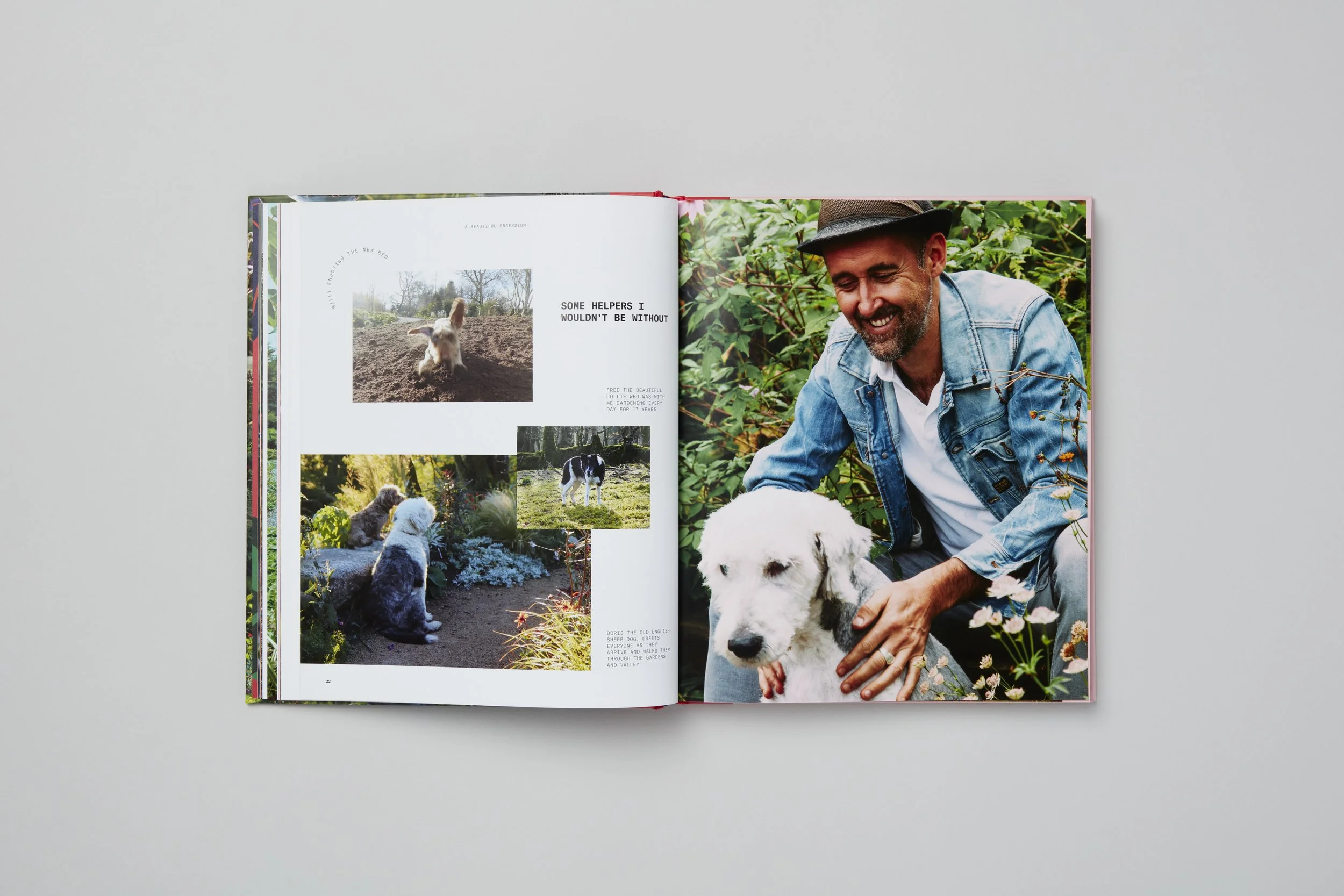 Interior spread from A Beautiful Obsession, photograph 3 of 18