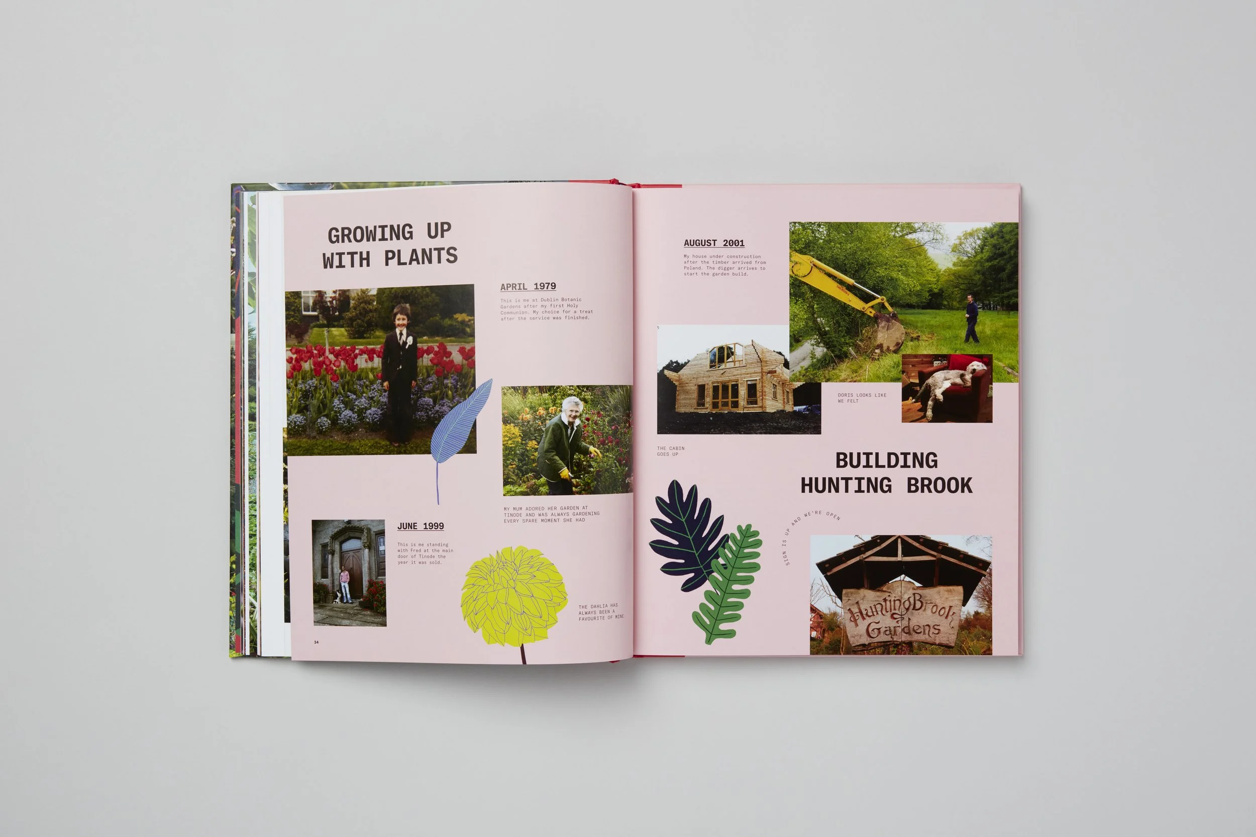 Interior spread from A Beautiful Obsession, photograph 4 of 18