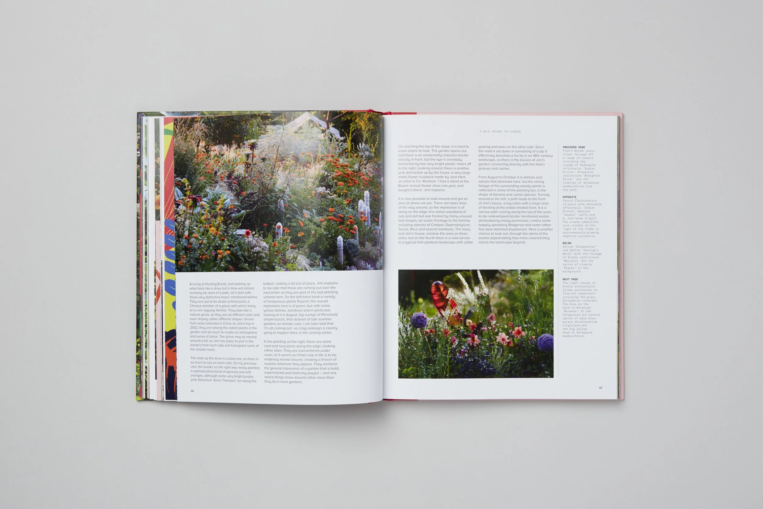 Interior spread from A Beautiful Obsession, photograph 6 of 18
