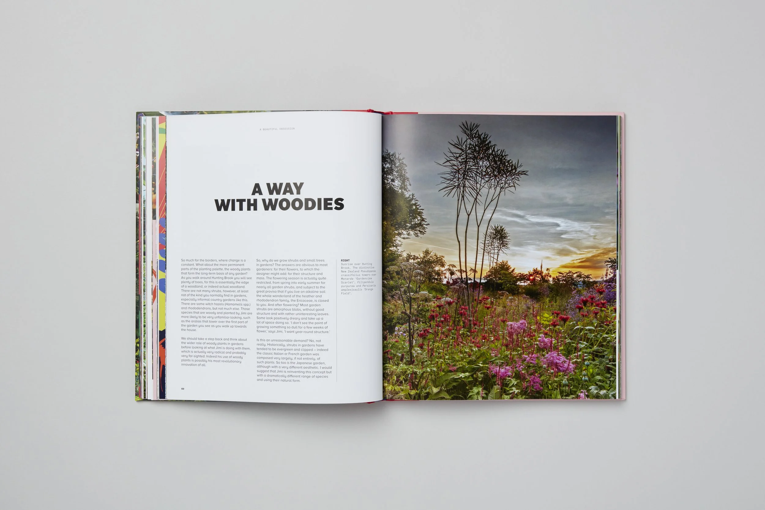 Interior spread from A Beautiful Obsession, photograph 7 of 18