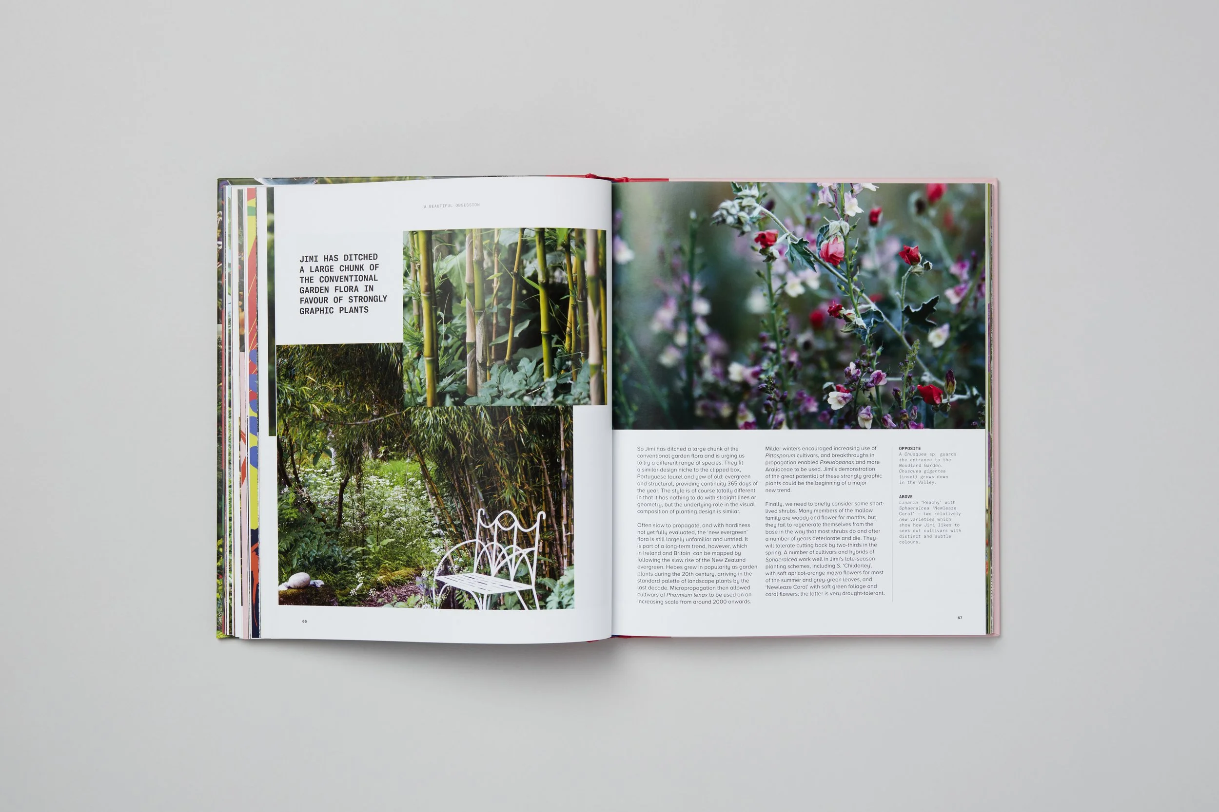 Interior spread from A Beautiful Obsession, photograph 8 of 18