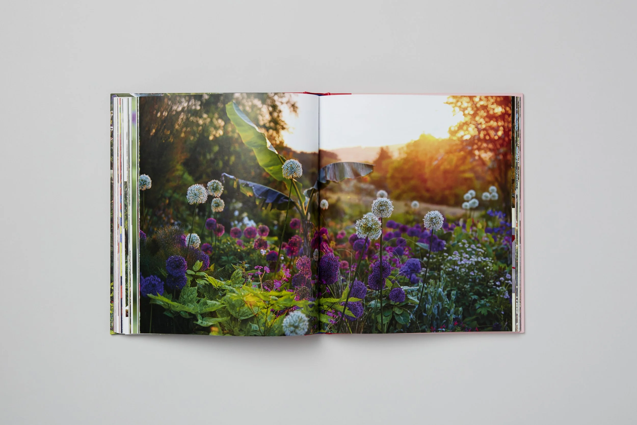Interior spread from A Beautiful Obsession, photograph 13 of 18