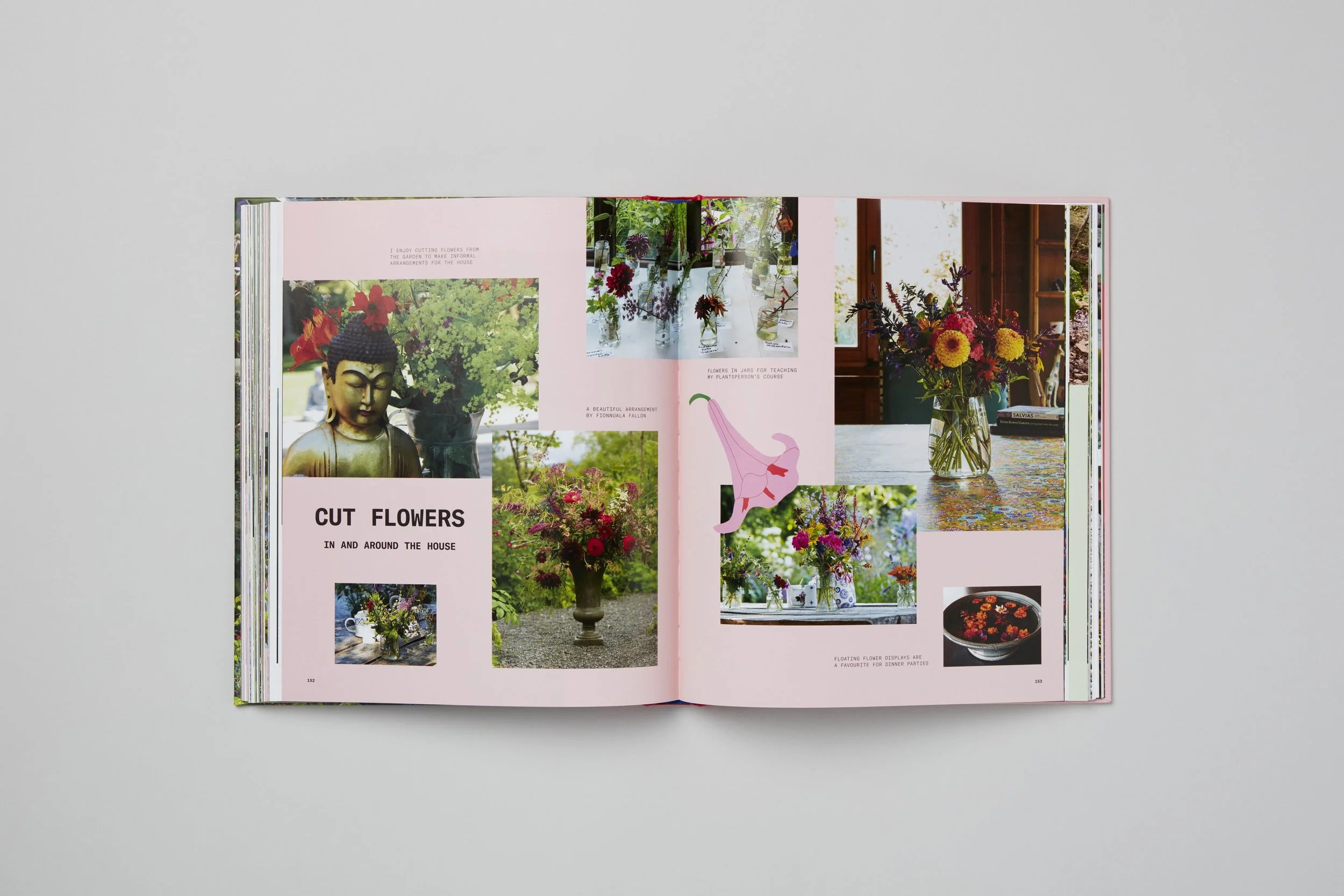 Interior spread from A Beautiful Obsession, photograph 16 of 18