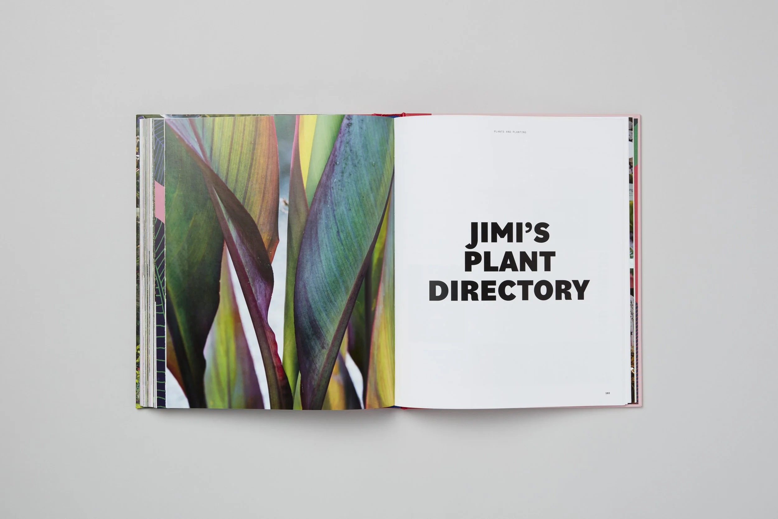 Interior spread from A Beautiful Obsession, photograph 17 of 18
