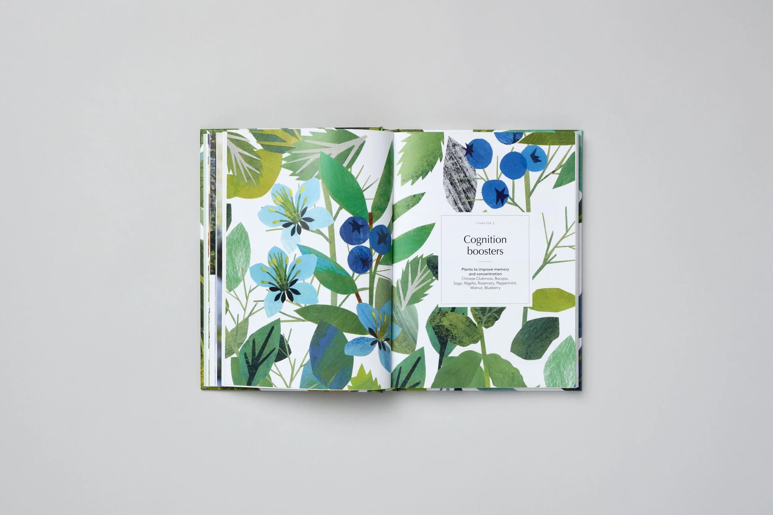 Interior spread from Botanical Brain Balms, photograph 1 of 11