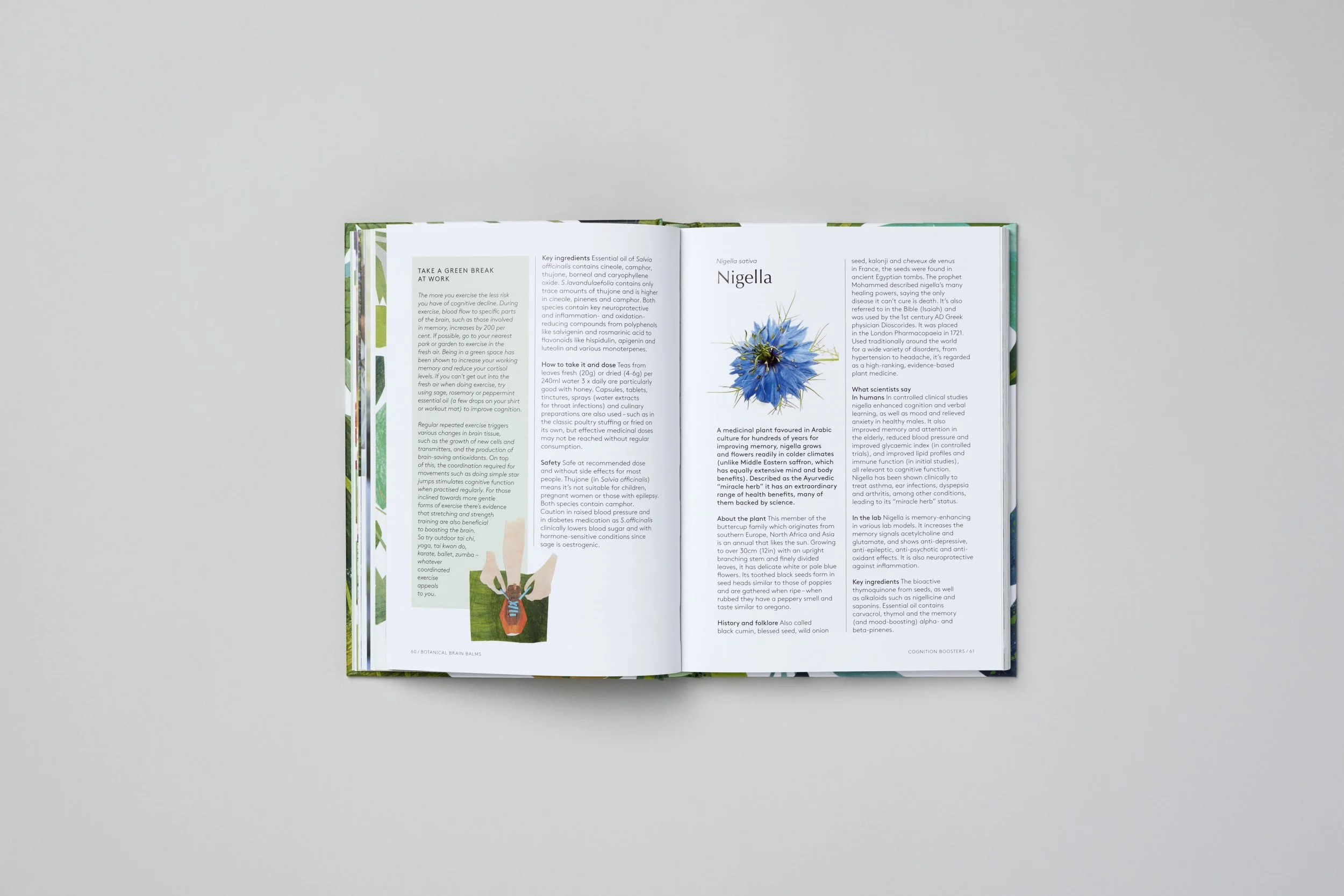 Interior spread from Botanical Brain Balms, photograph 2 of 11