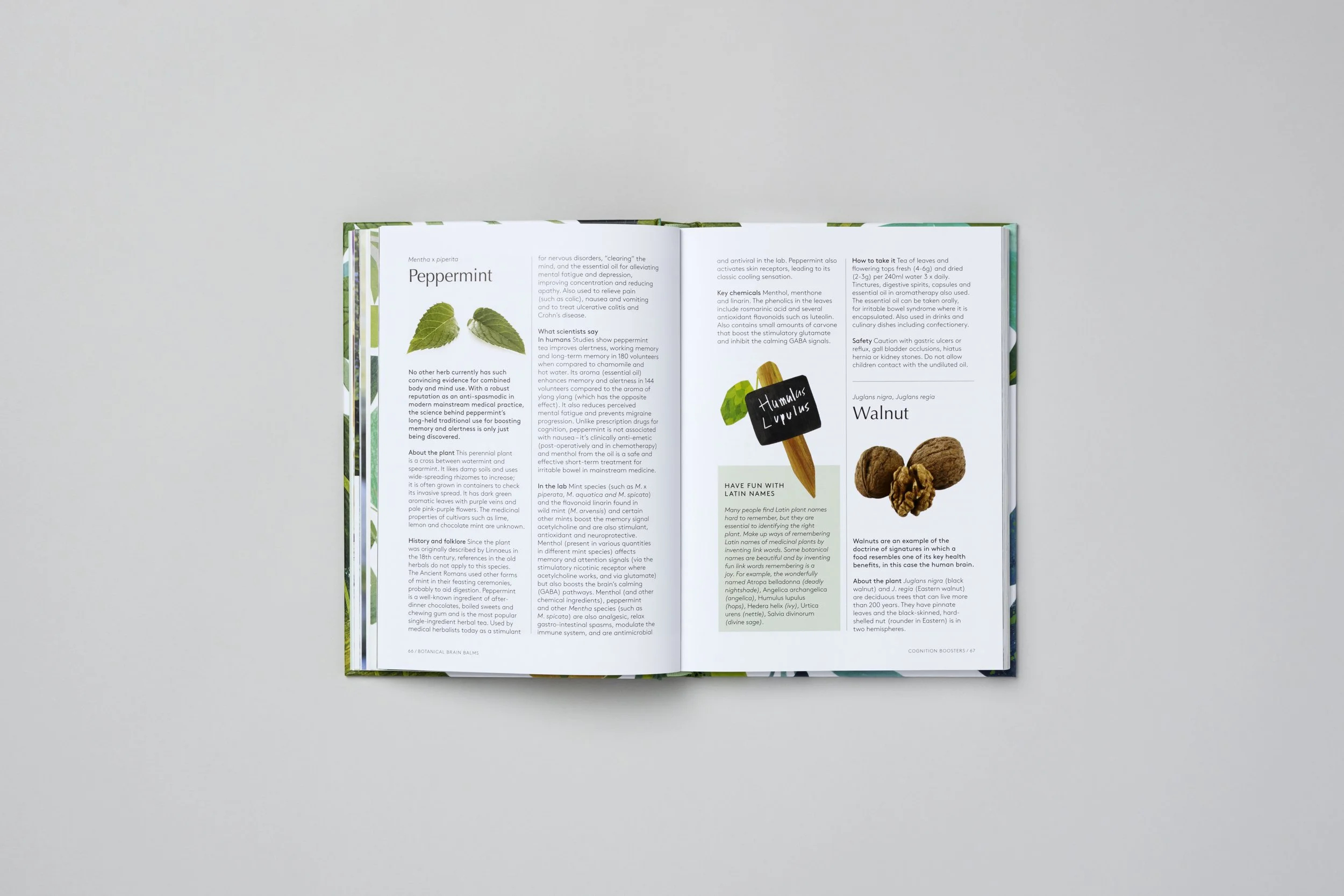 Interior spread from Botanical Brain Balms, photograph 3 of 11