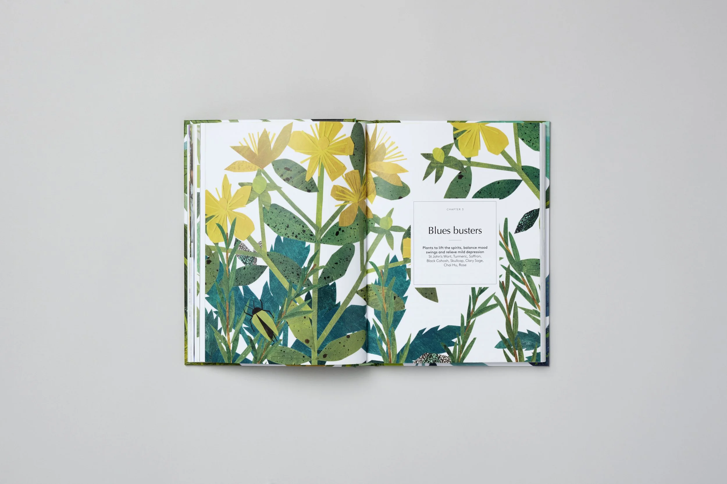 Interior spread from Botanical Brain Balms, photograph 5 of 11