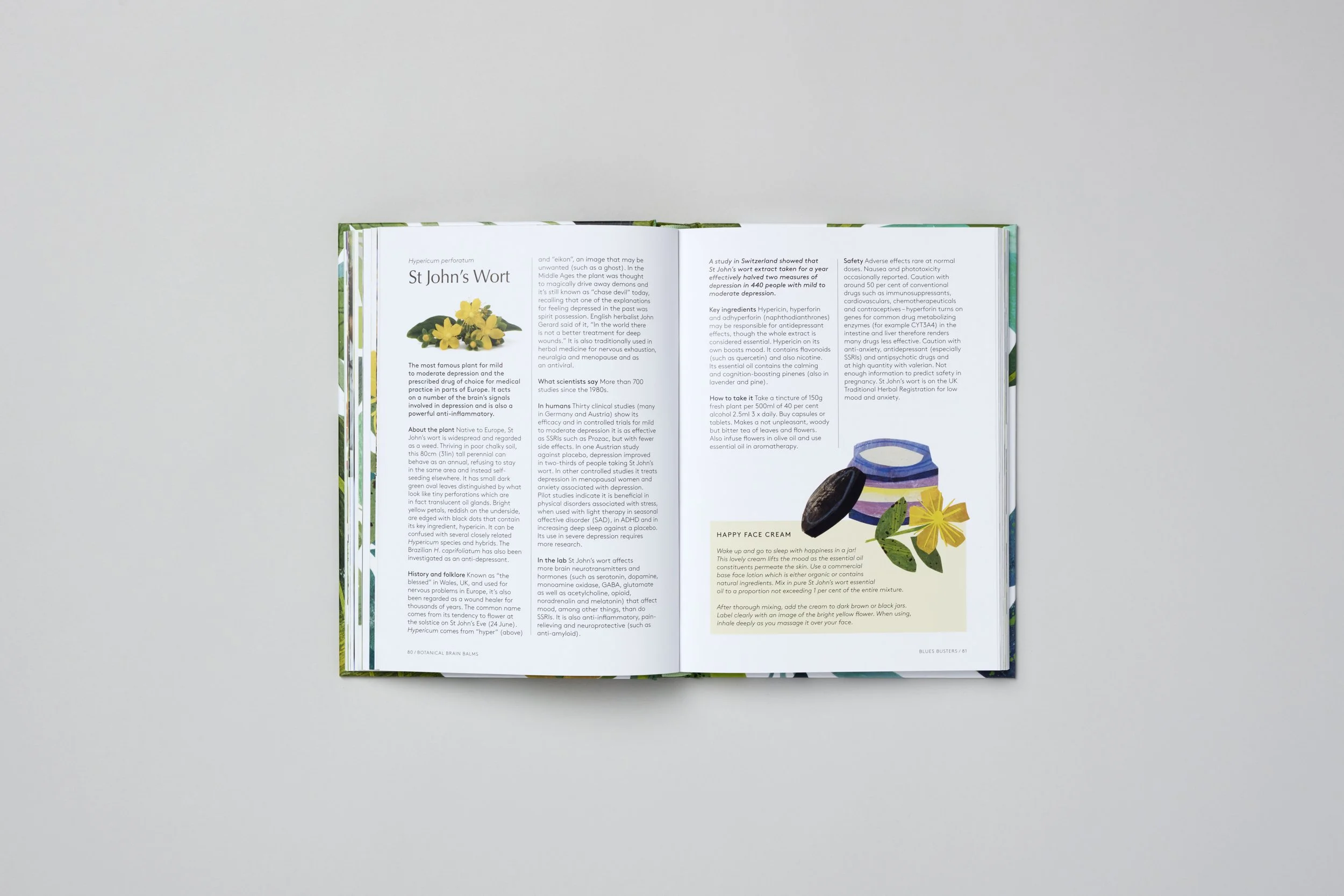 Interior spread from Botanical Brain Balms, photograph 6 of 11