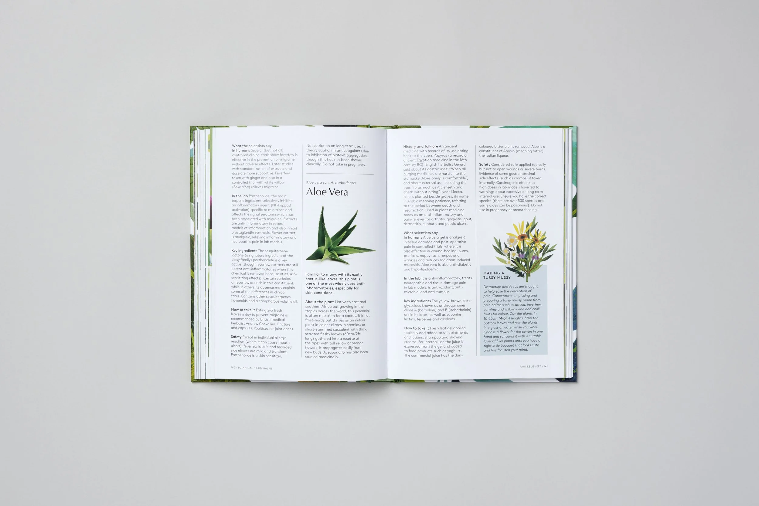 Interior spread from Botanical Brain Balms, photograph 8 of 11