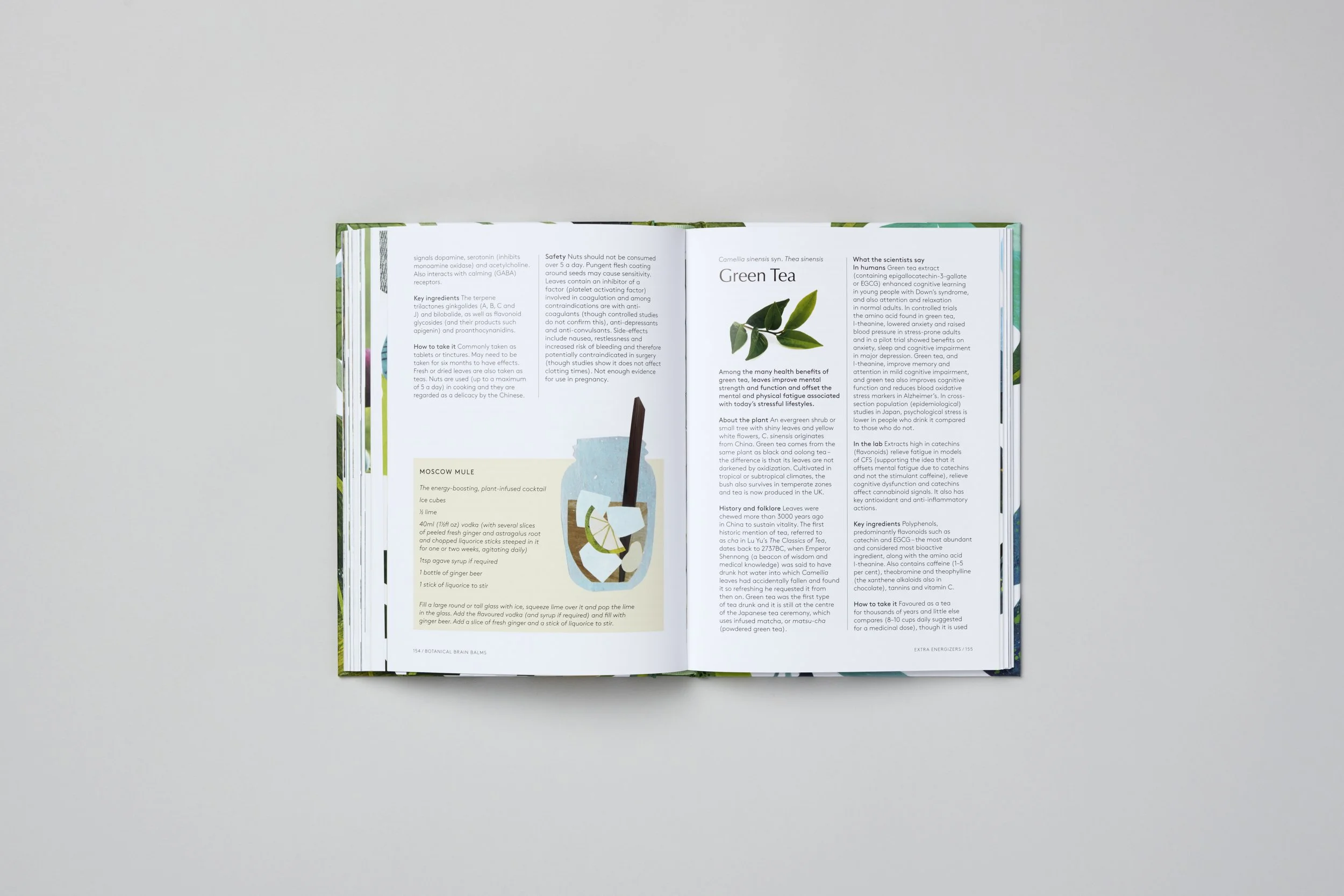 Interior spread from Botanical Brain Balms, photograph 9 of 11