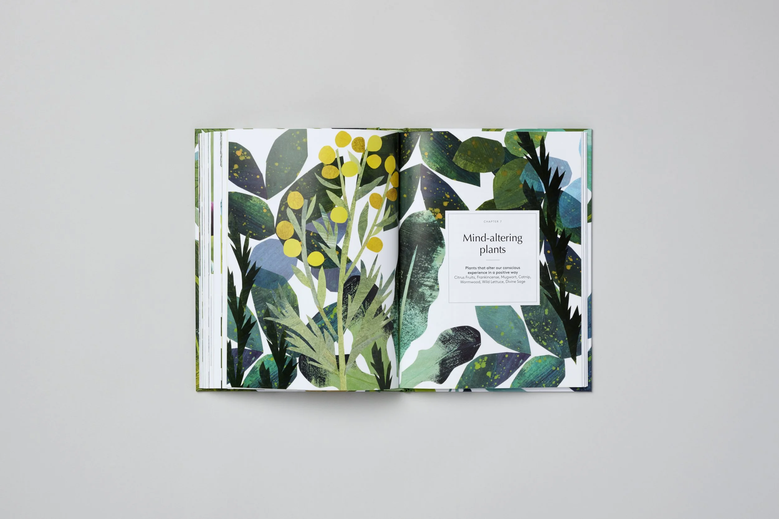 Interior spread from Botanical Brain Balms, photograph 10 of 11