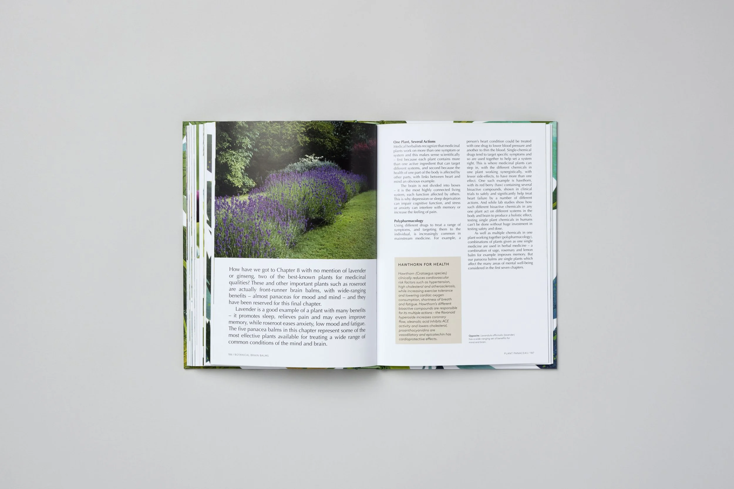 Interior spread from Botanical Brain Balms, photograph 11 of 11