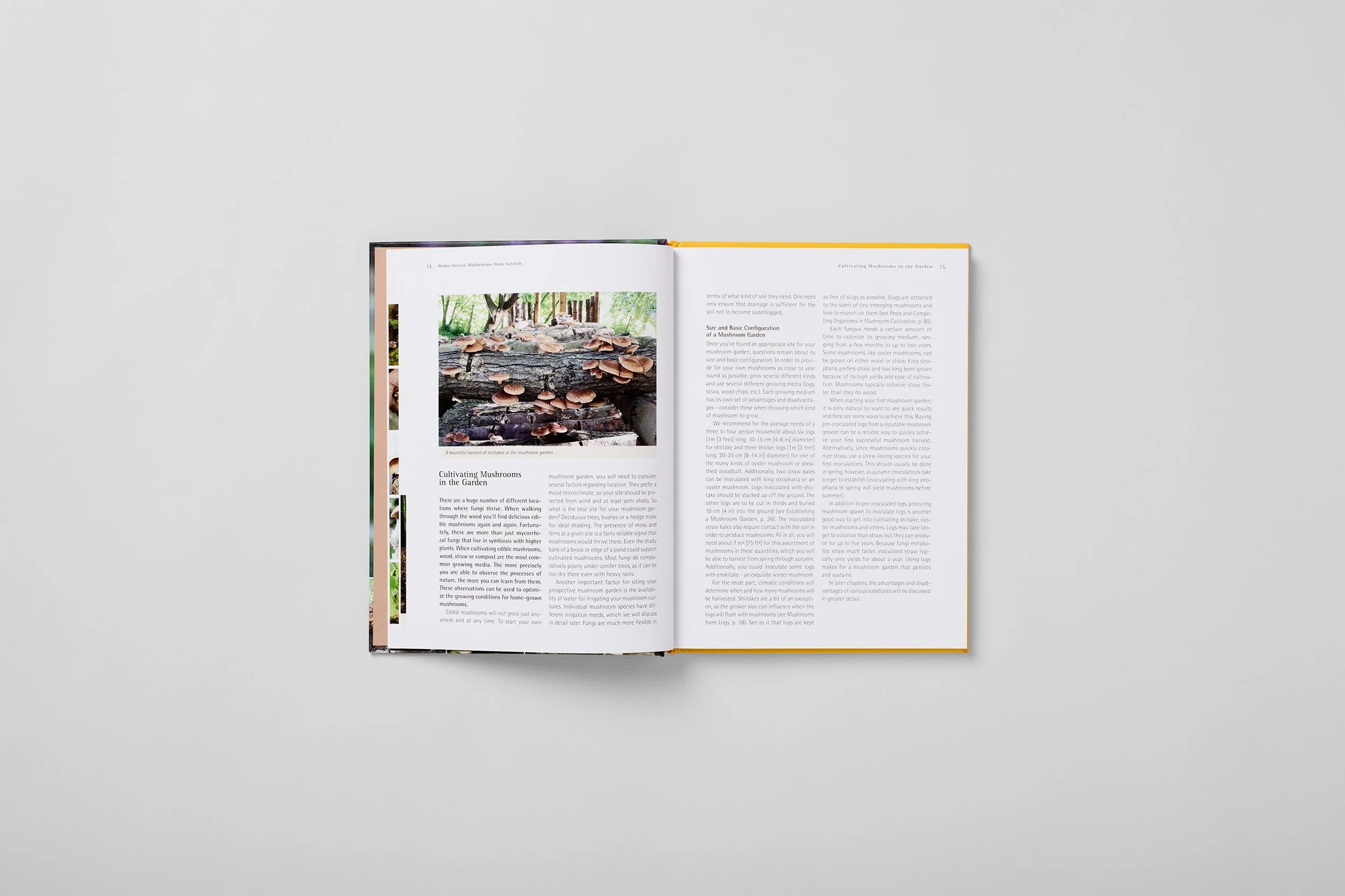 Interior spread from Home-Grown Mushrooms from Scratch, photograph 1 of 7