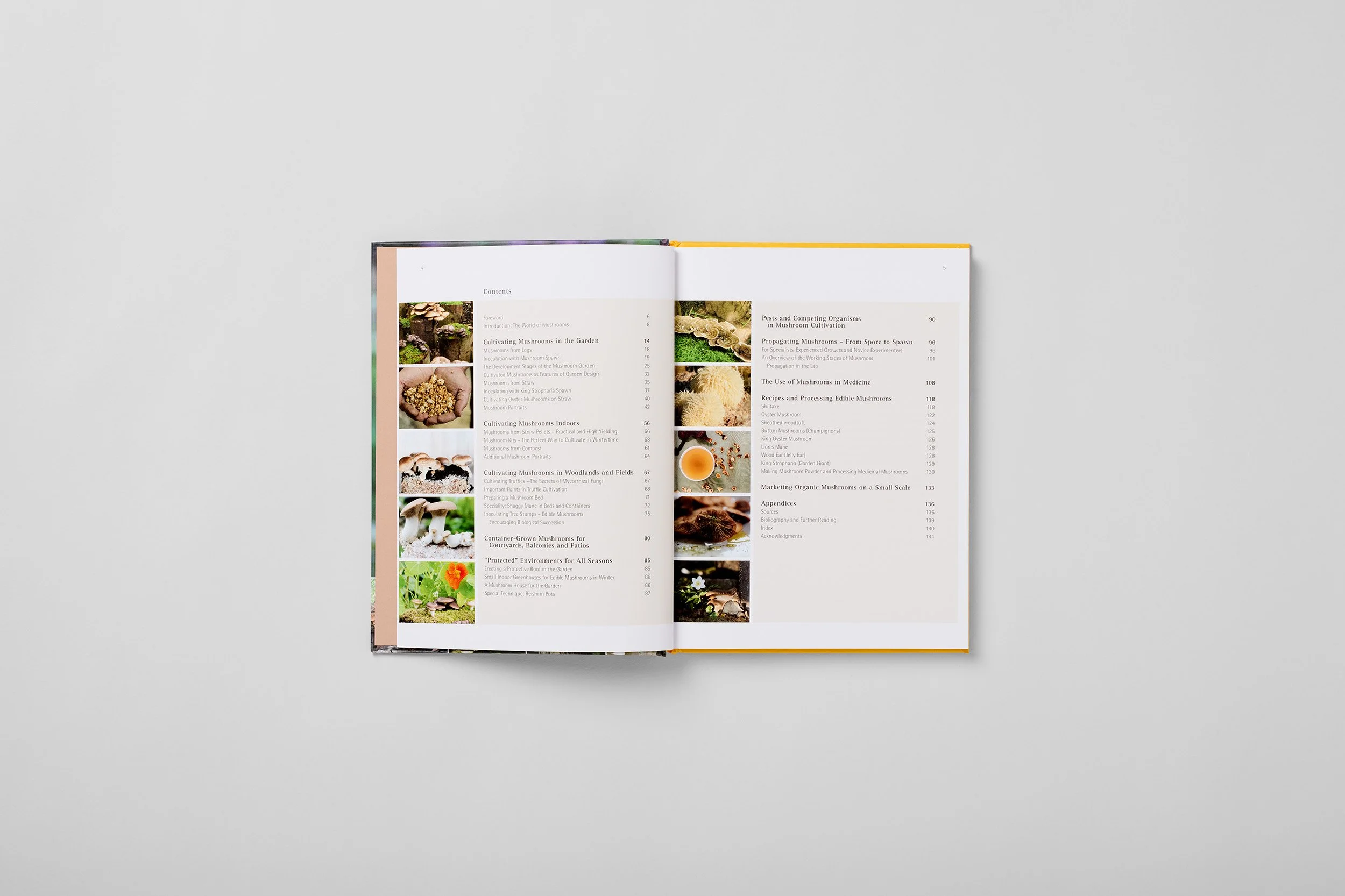 Interior spread from Home-Grown Mushrooms from Scratch, photograph 2 of 7