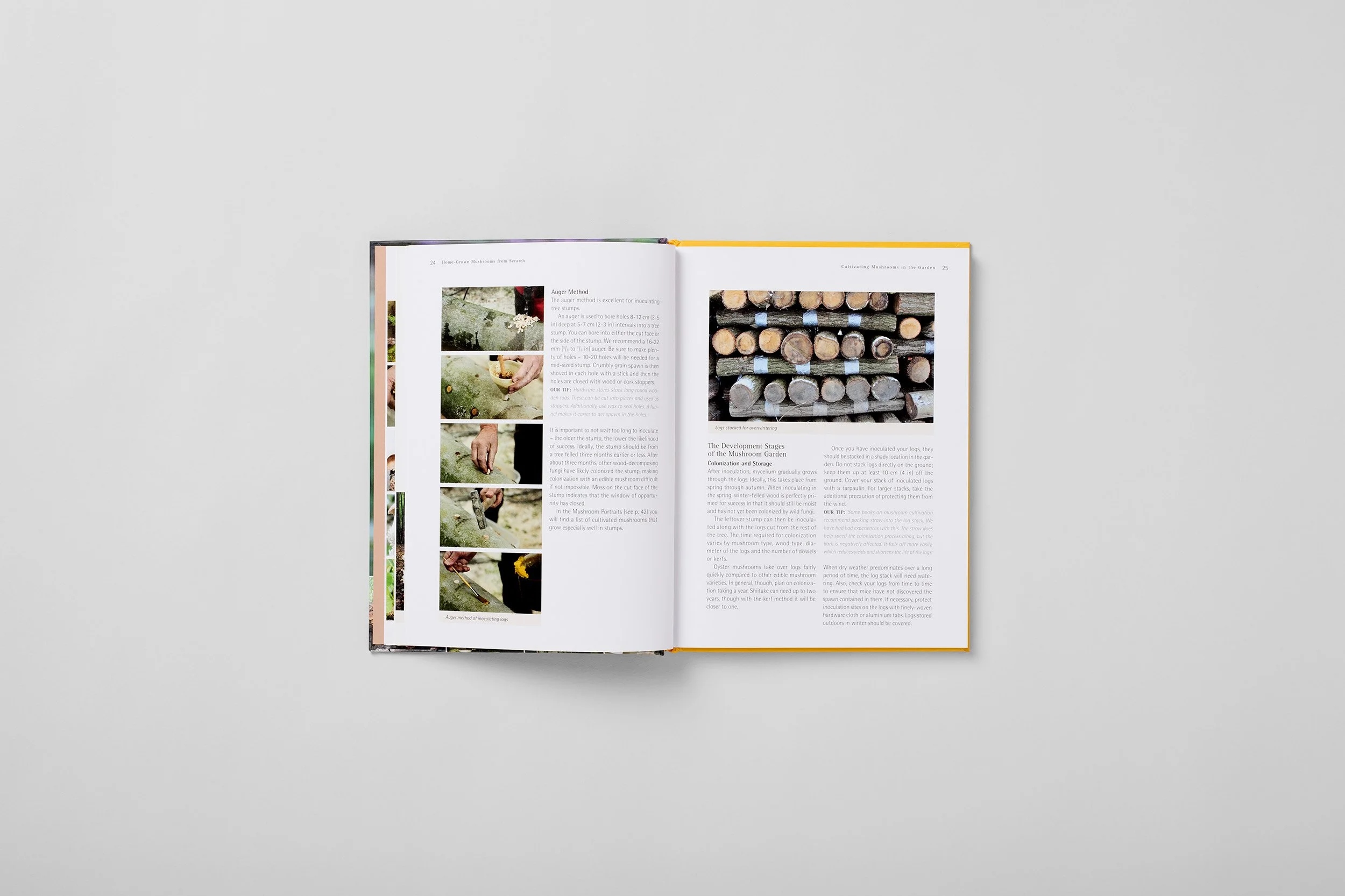 Interior spread from Home-Grown Mushrooms from Scratch, photograph 3 of 7