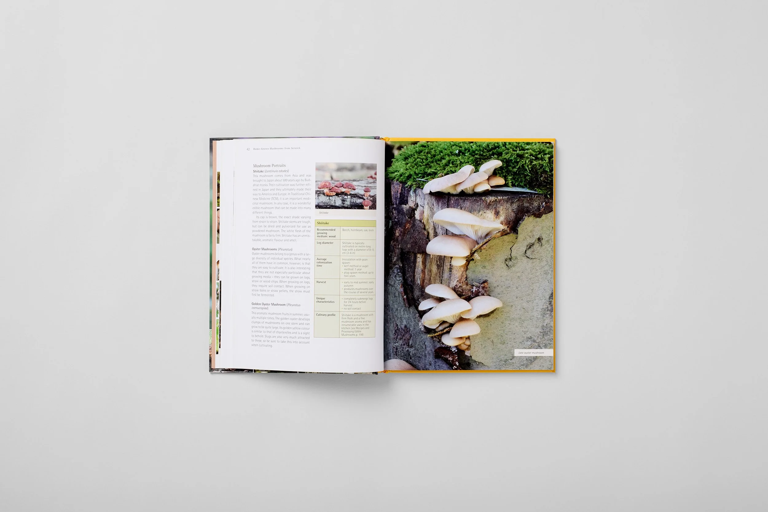Interior spread from Home-Grown Mushrooms from Scratch, photograph 4 of 7