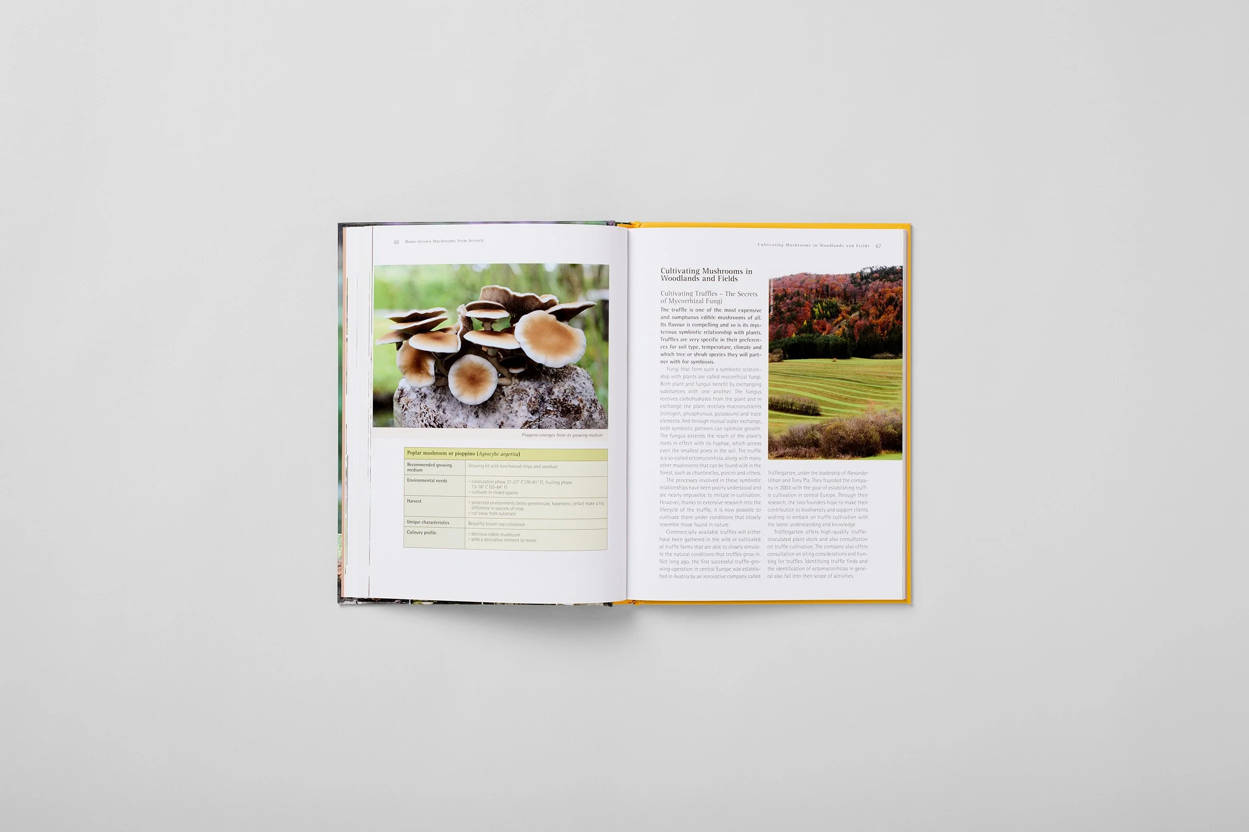 Interior spread from Home-Grown Mushrooms from Scratch, photograph 5 of 7