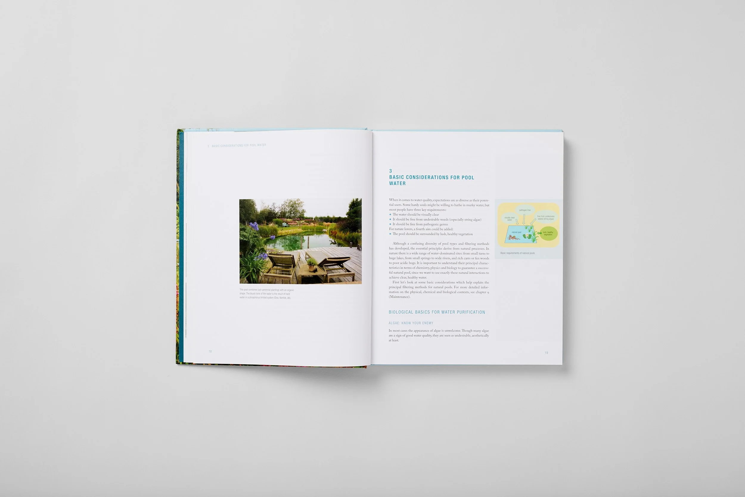 Interior spread from How to Build a Natural Swimming Pool, photograph 1 of 6