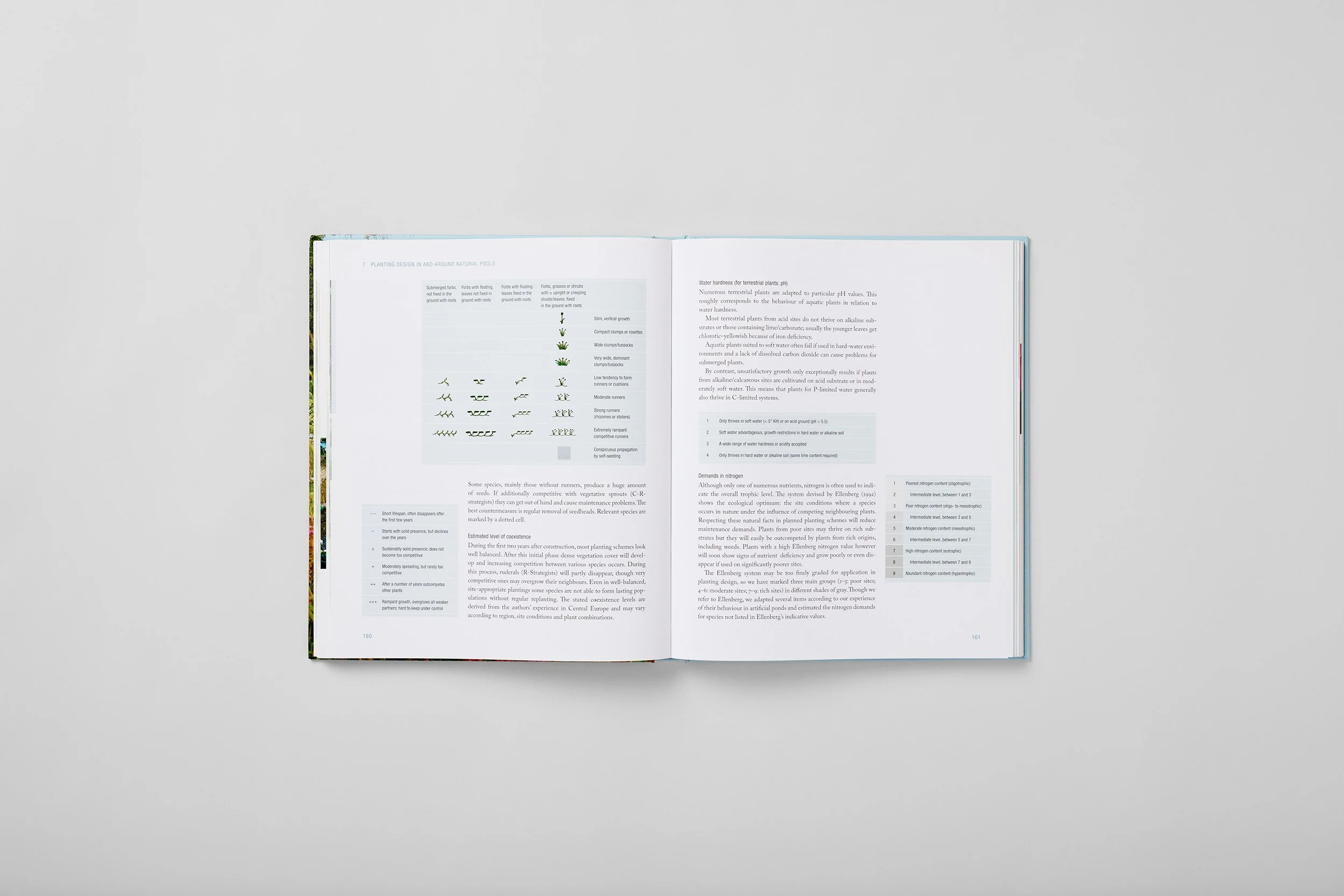 Interior spread from How to Build a Natural Swimming Pool, photograph 3 of 6