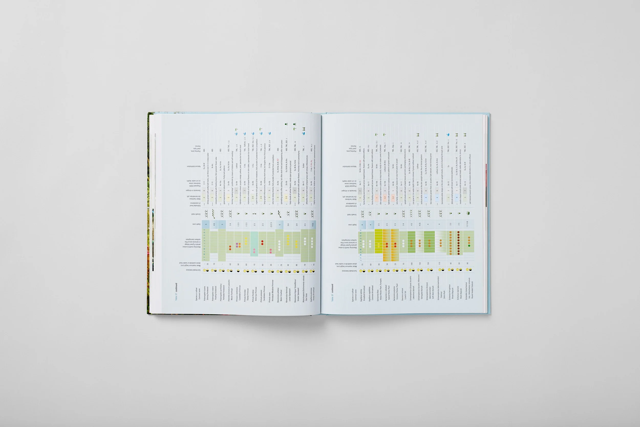 Interior spread from How to Build a Natural Swimming Pool, photograph 4 of 6