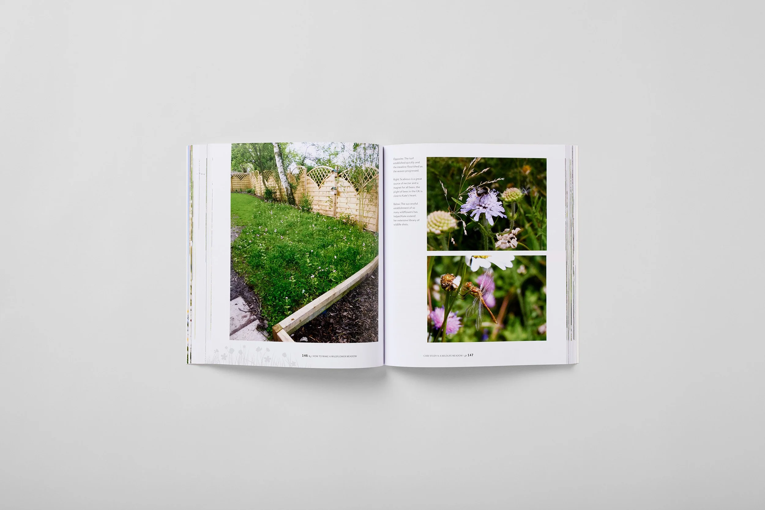 Interior spread from How to Make a Wildflower Meadow, photograph 4 of 6