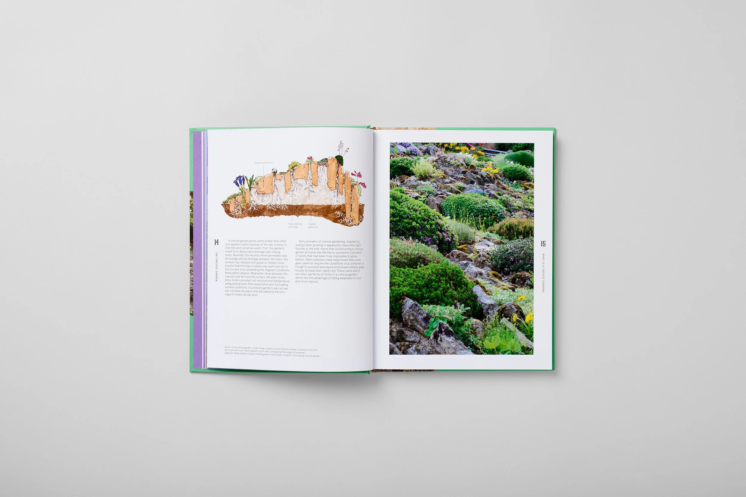 Interior spread from The Crevice Garden, photograph 3 of 6
